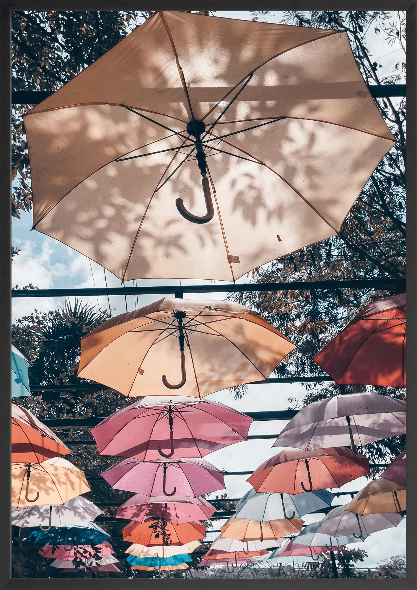 - Jules Frazier Fine Art Photographs