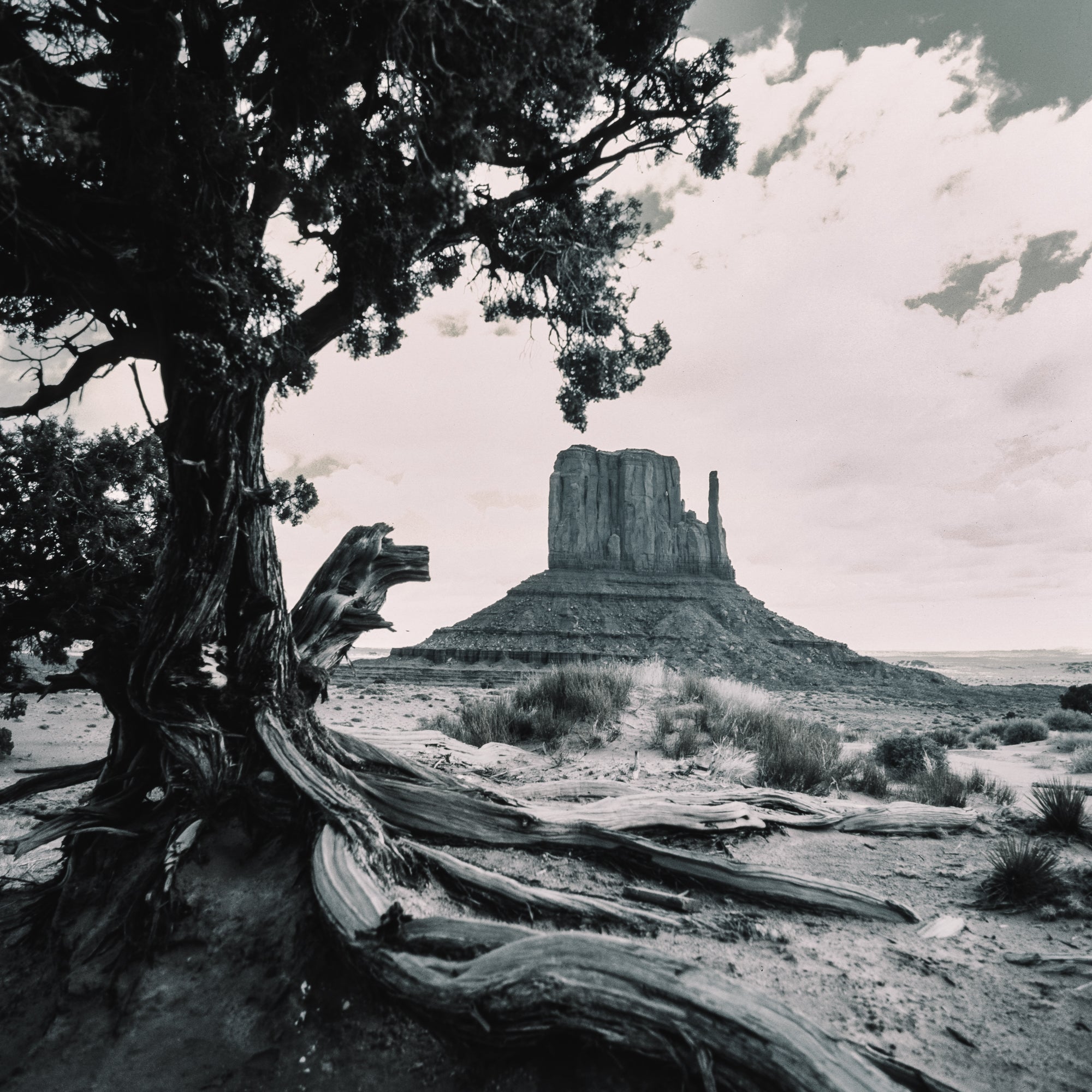 West Mitten Butte, Monument Valley
