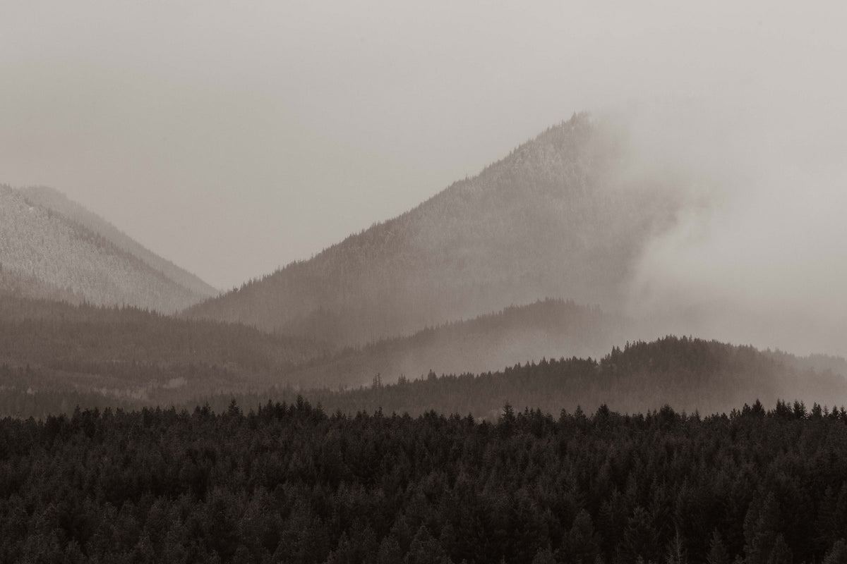 Mountain range with misty conditions and a forest at the base.