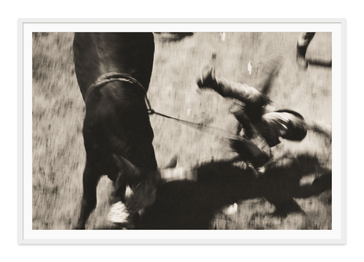 Eight Seconds-Bull Ride fine art print in a white frame with white mat, by Jules Frazier.