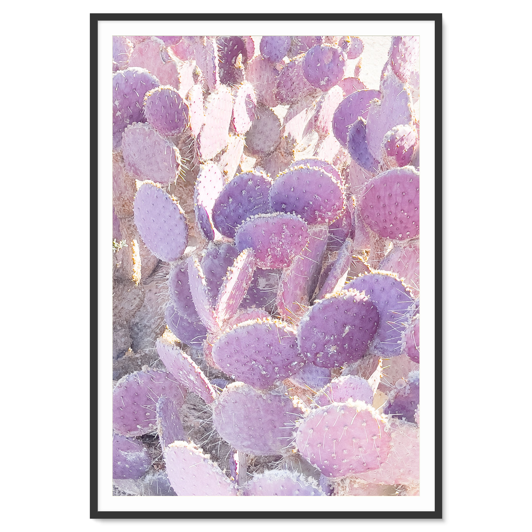 Image rendered by ArtFlows