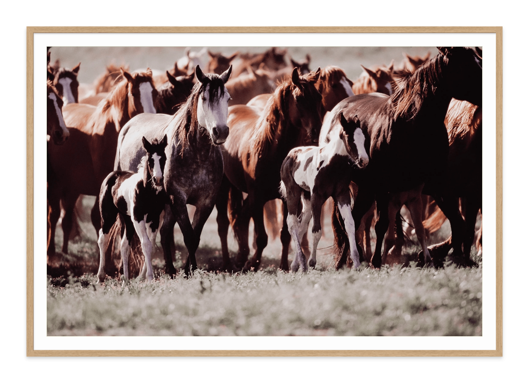 - Jules Frazier Fine Art Photographs