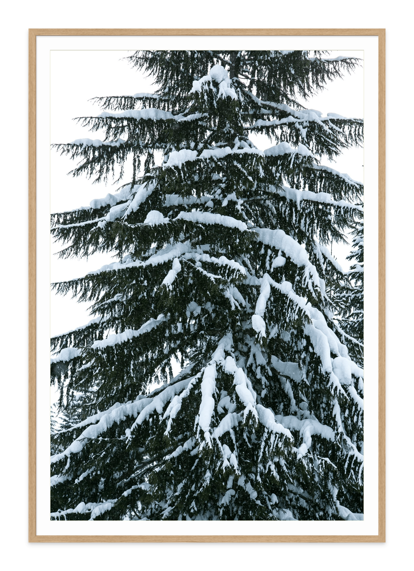 - Jules Frazier Fine Art Photographs