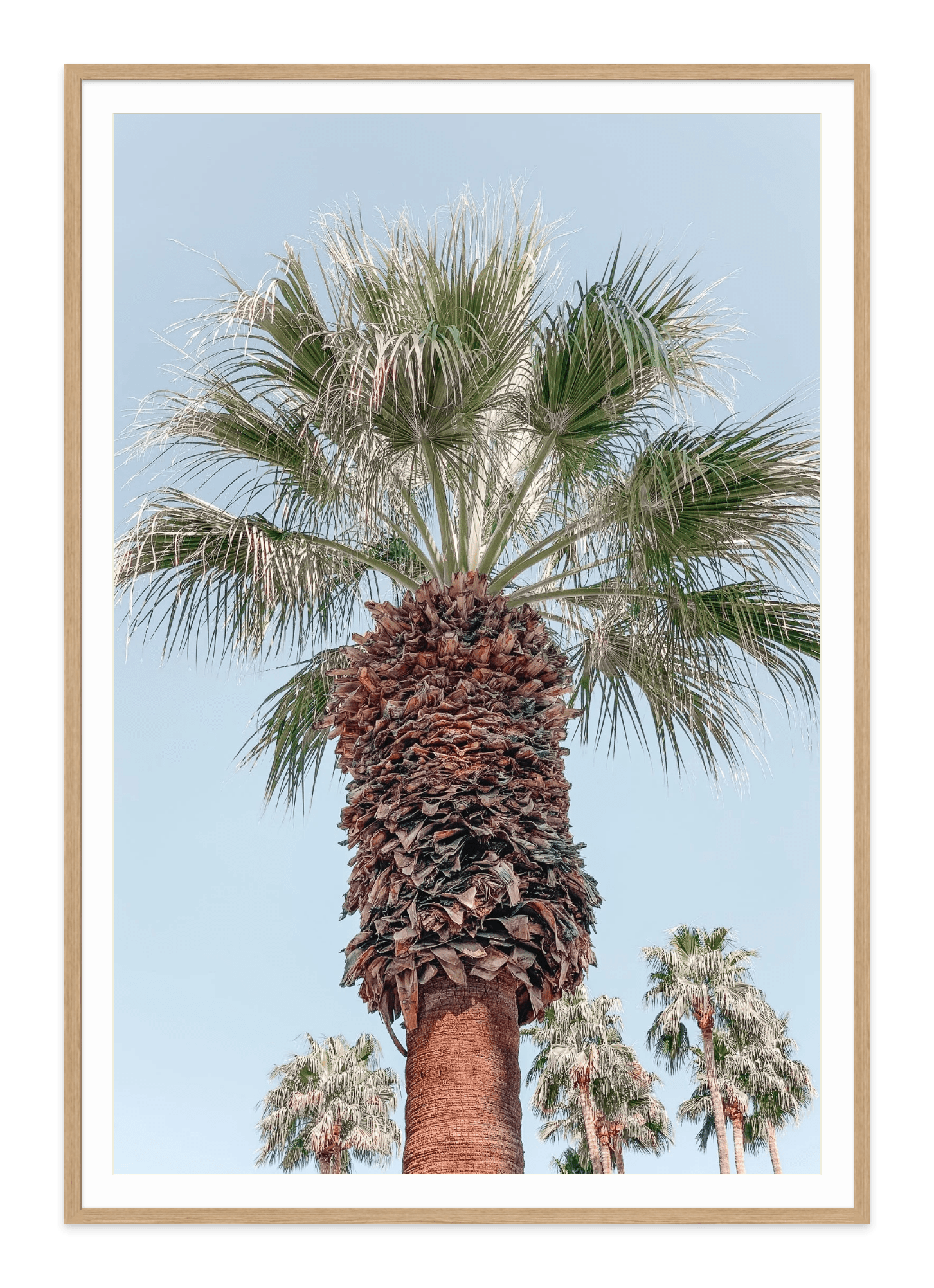 - Jules Frazier Fine Art Photographs