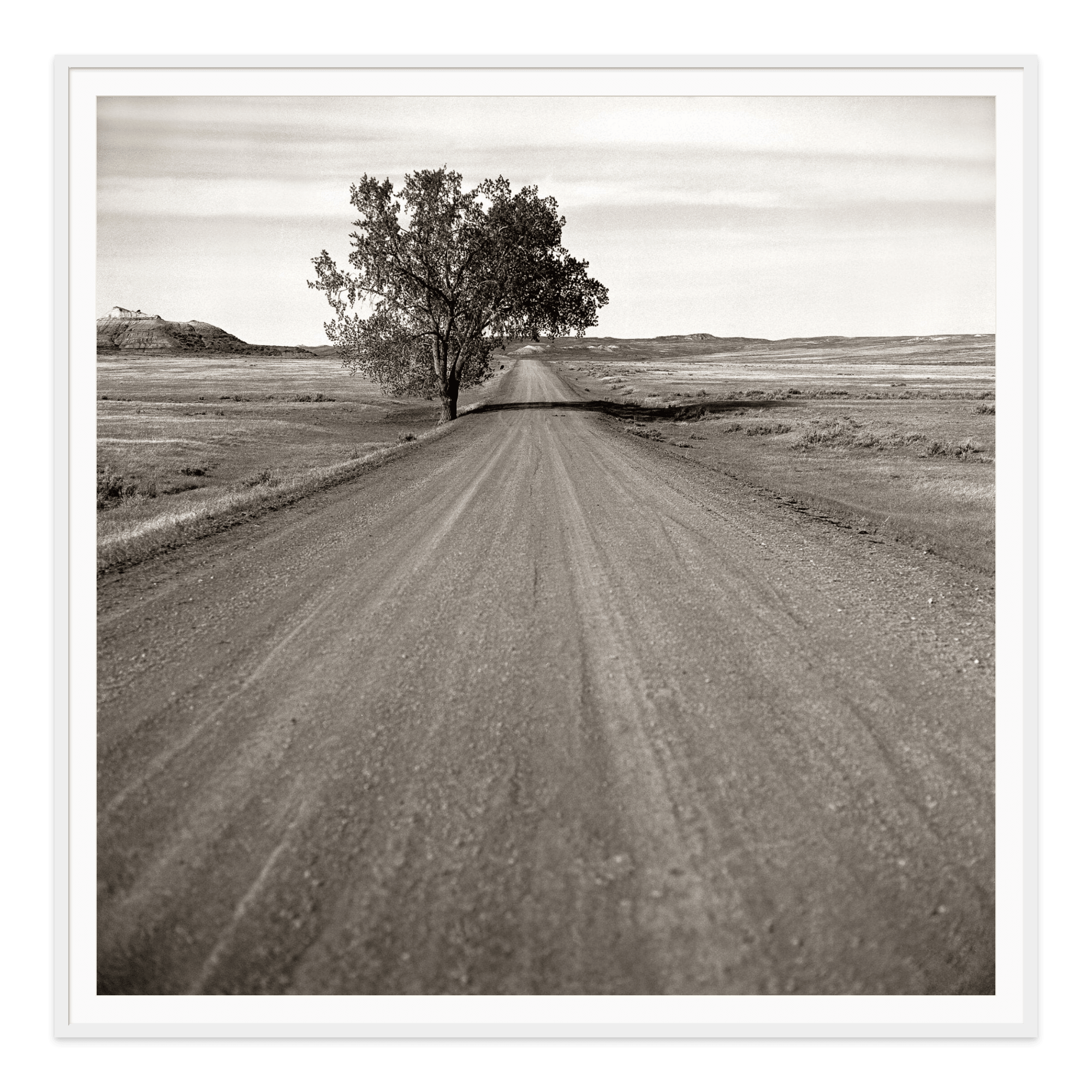 - Jules Frazier Fine Art Photographs