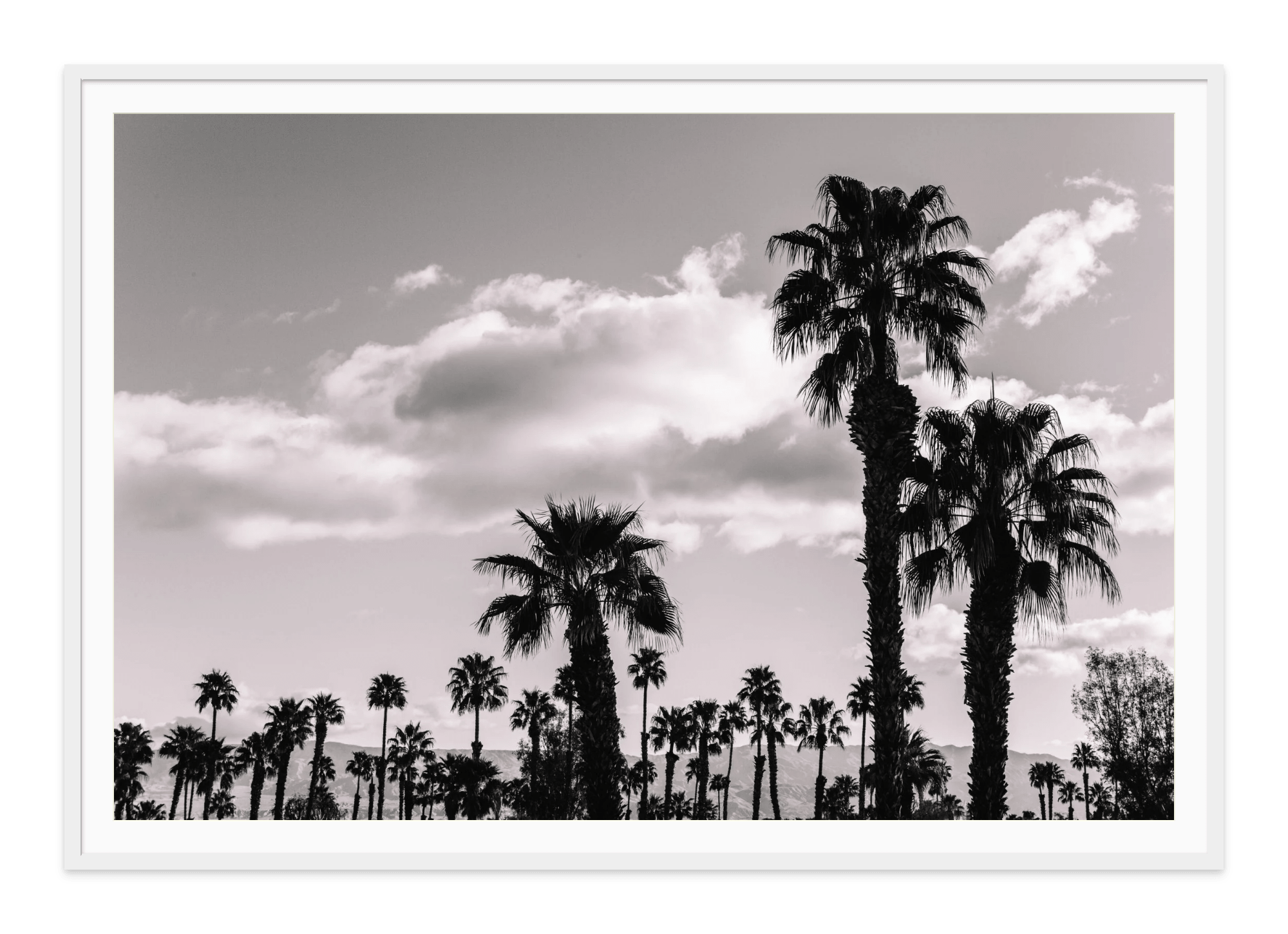 - Jules Frazier Fine Art Photographs
