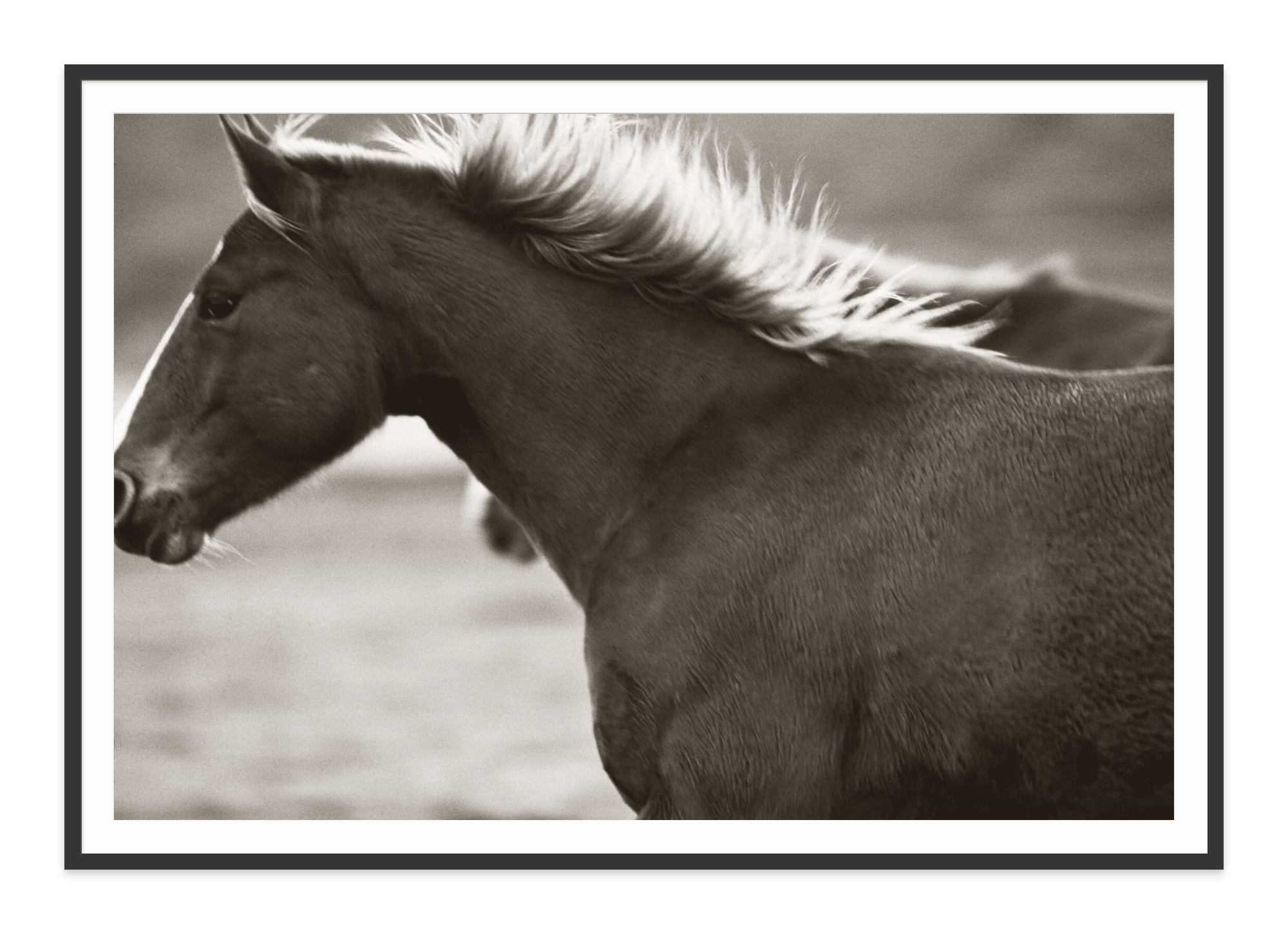 - Jules Frazier Fine Art Photographs