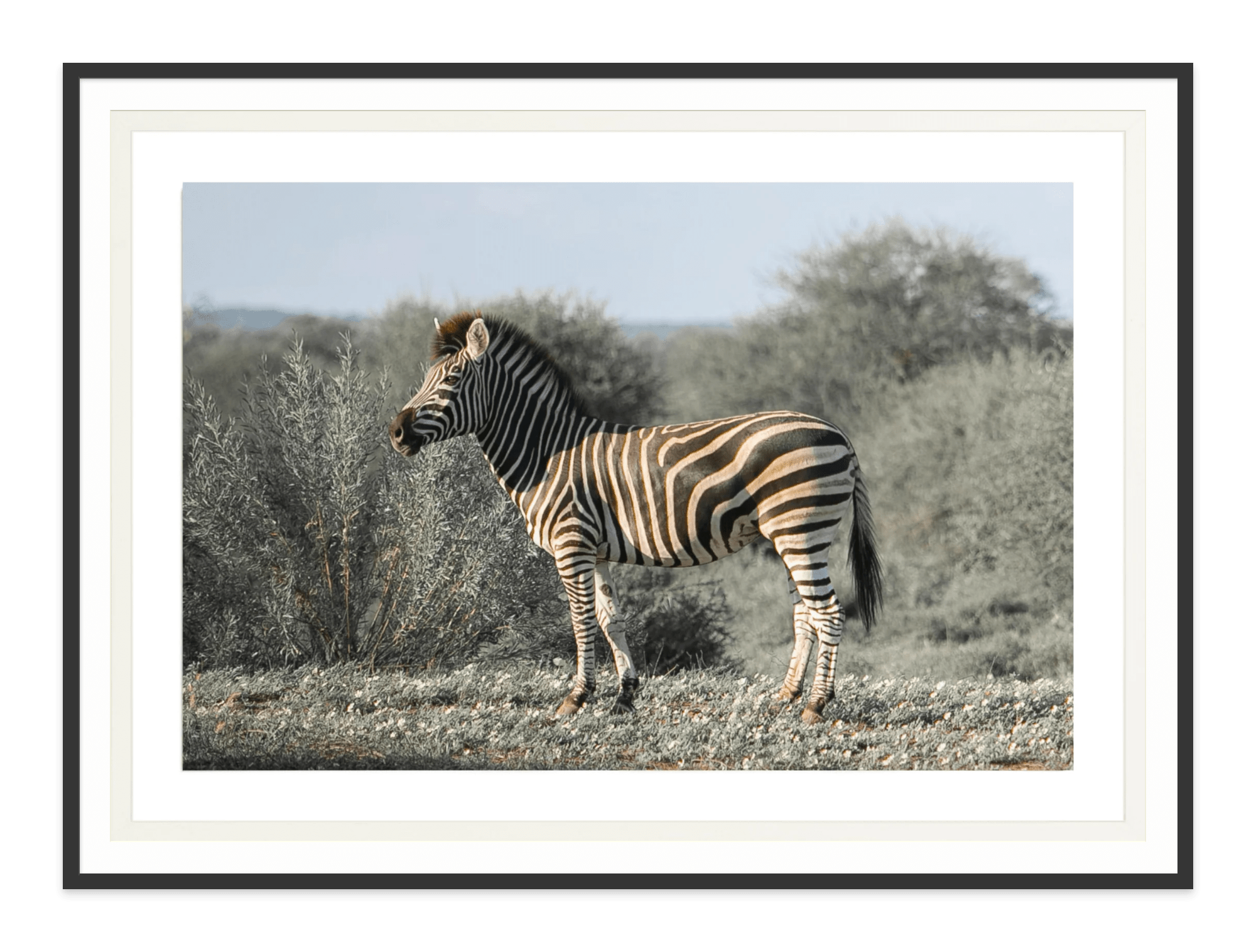 - Jules Frazier Fine Art Photographs