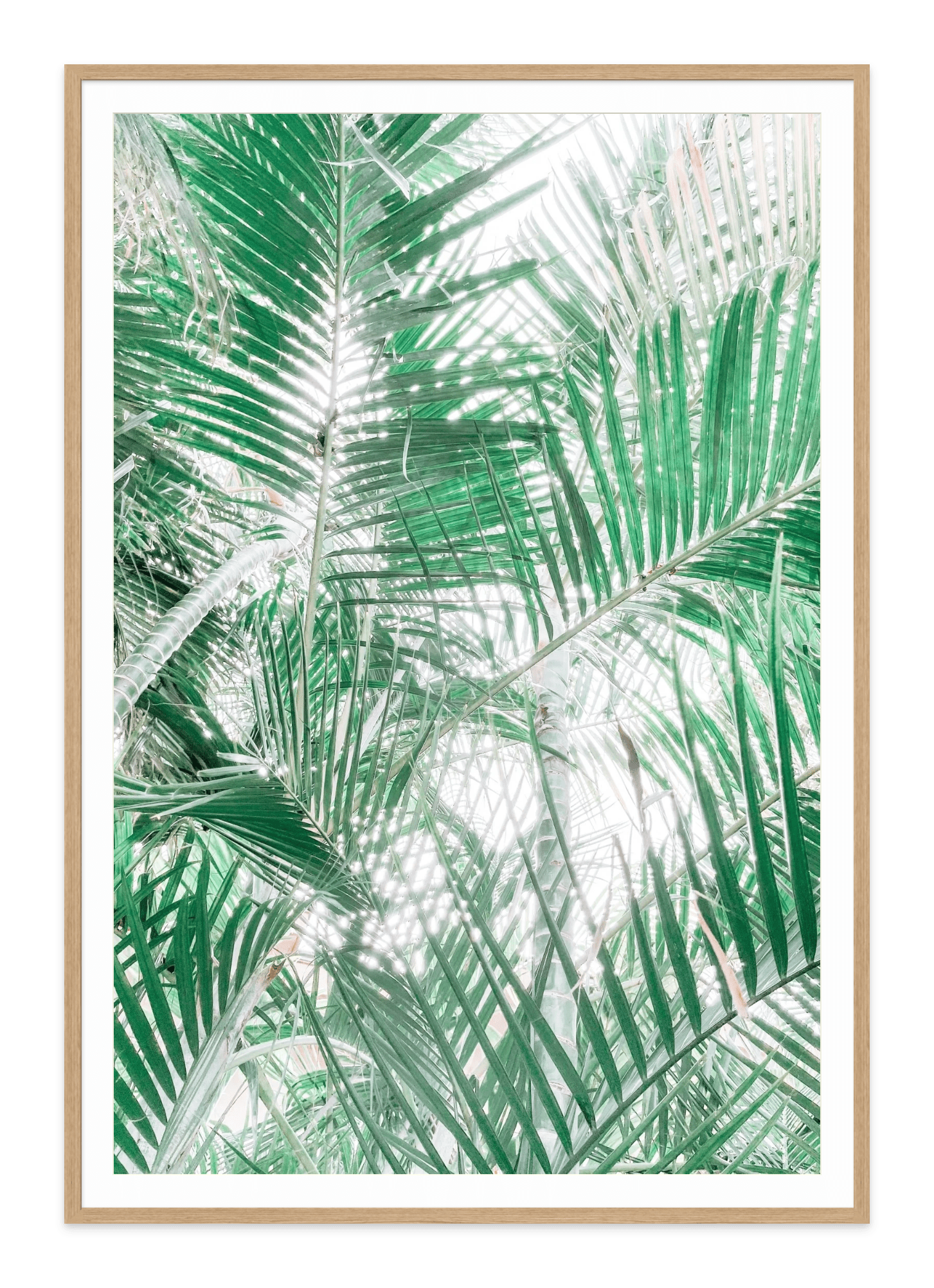 - Jules Frazier Fine Art Photographs