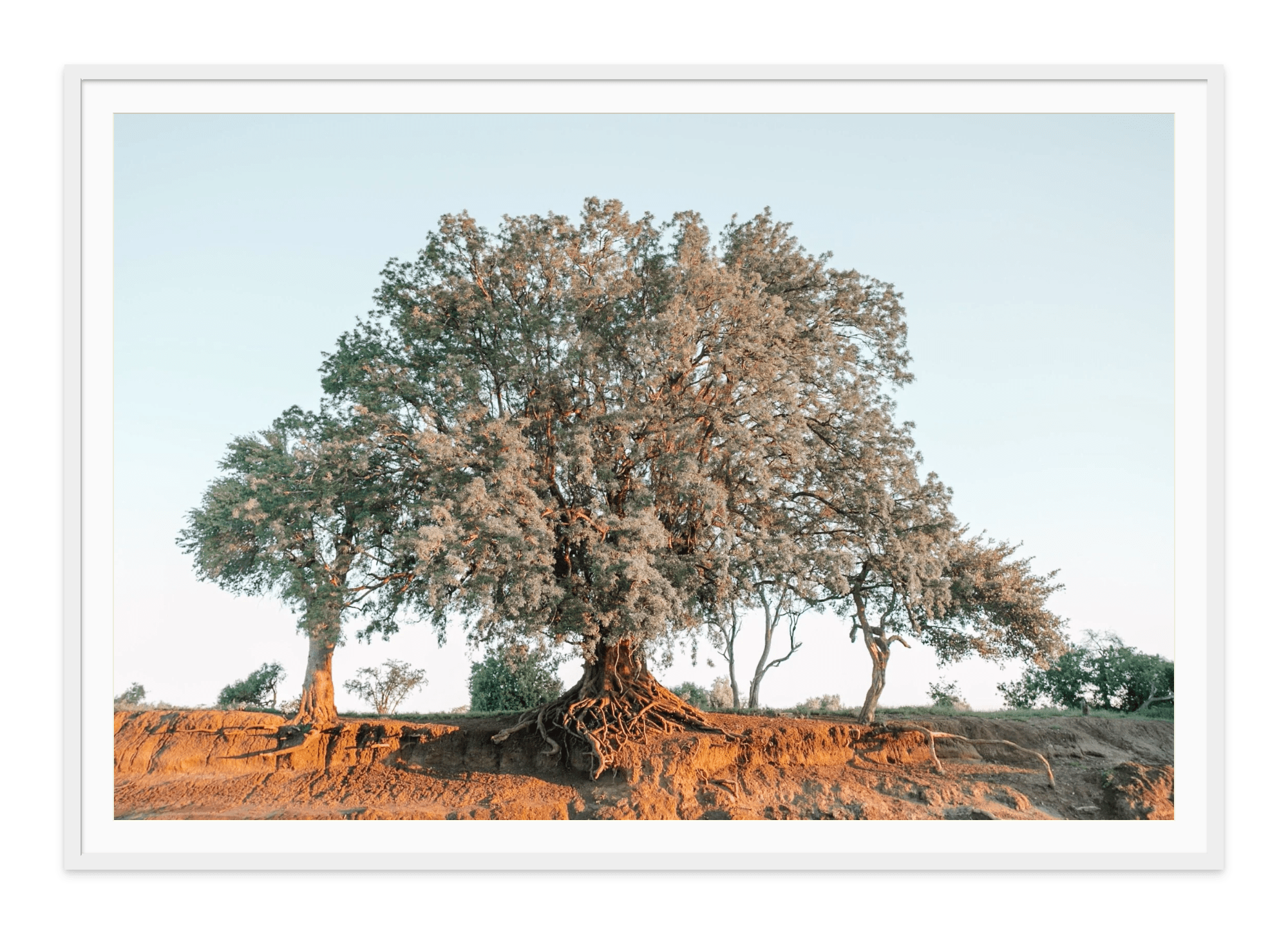 - Jules Frazier Fine Art Photographs