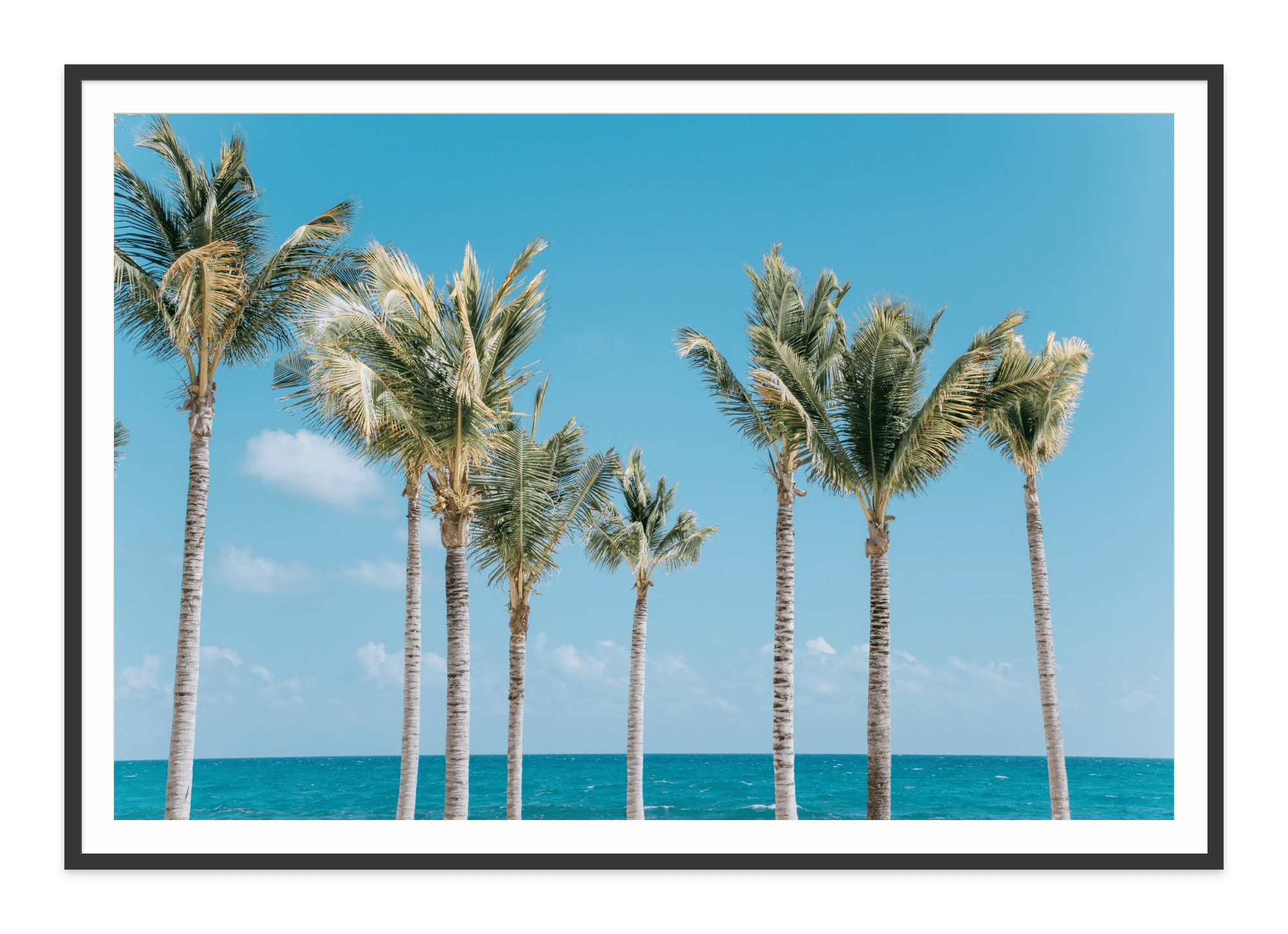 - Jules Frazier Fine Art Photographs