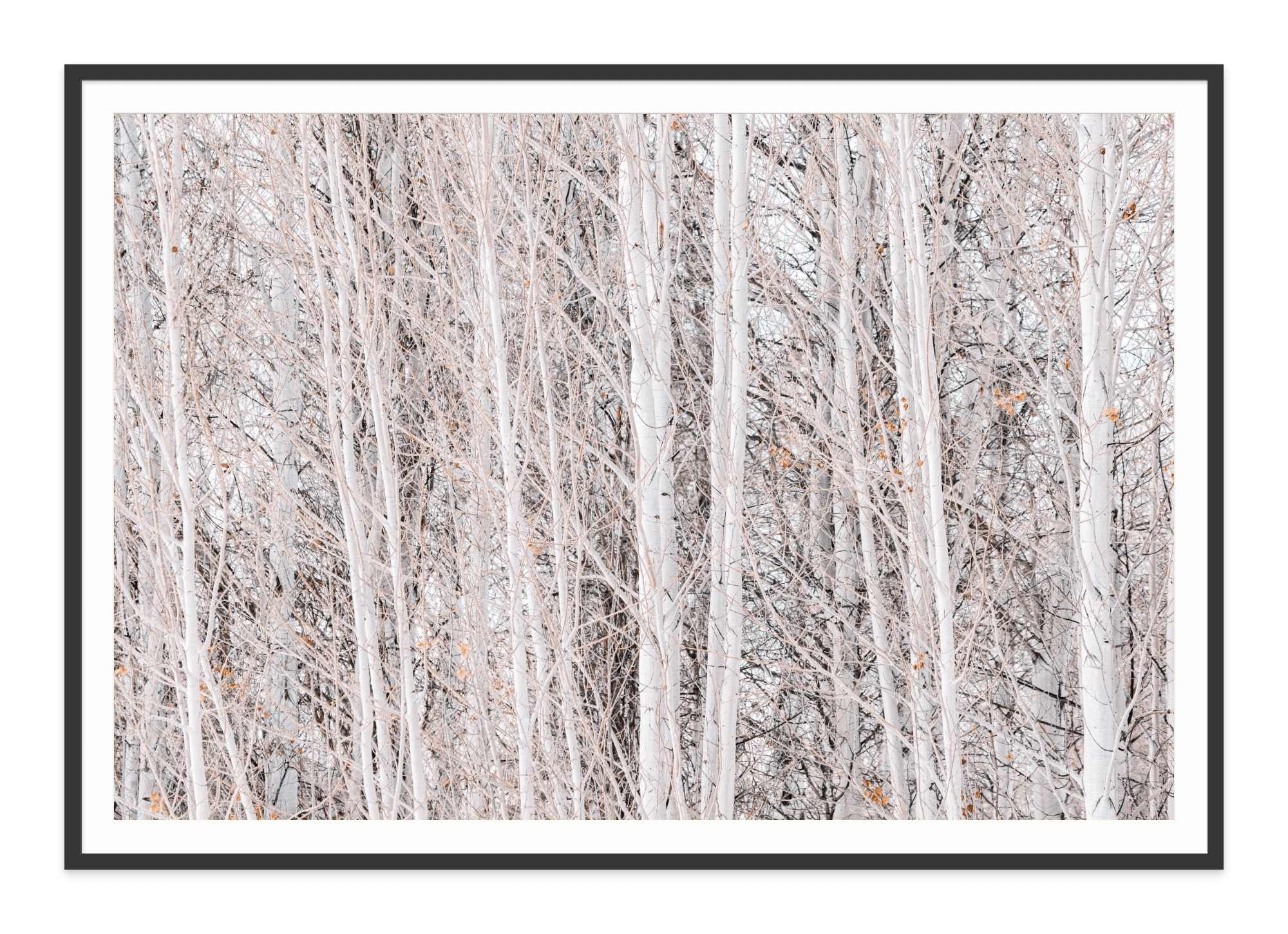 - Jules Frazier Fine Art Photographs