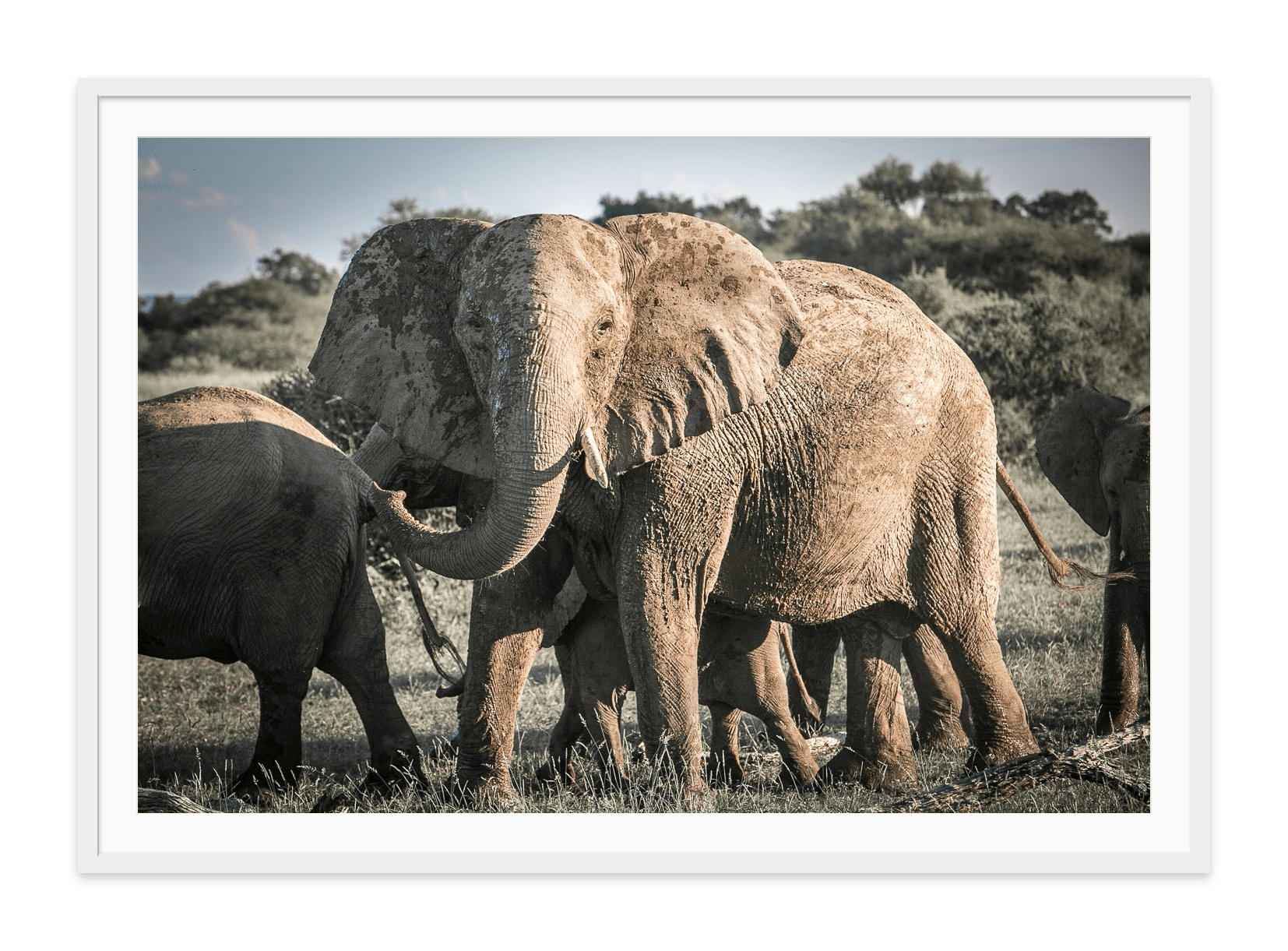 - Jules Frazier Fine Art Photographs