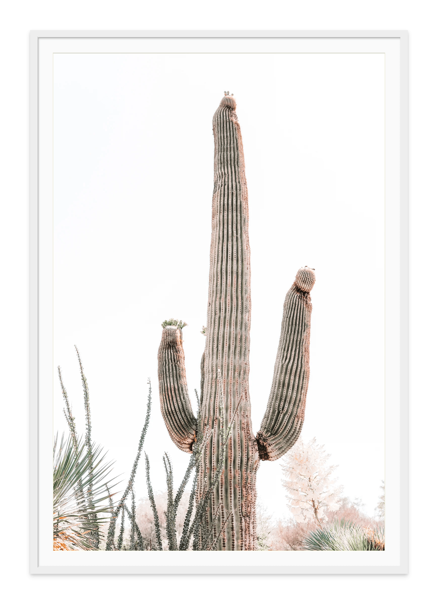 - Jules Frazier Fine Art Photographs