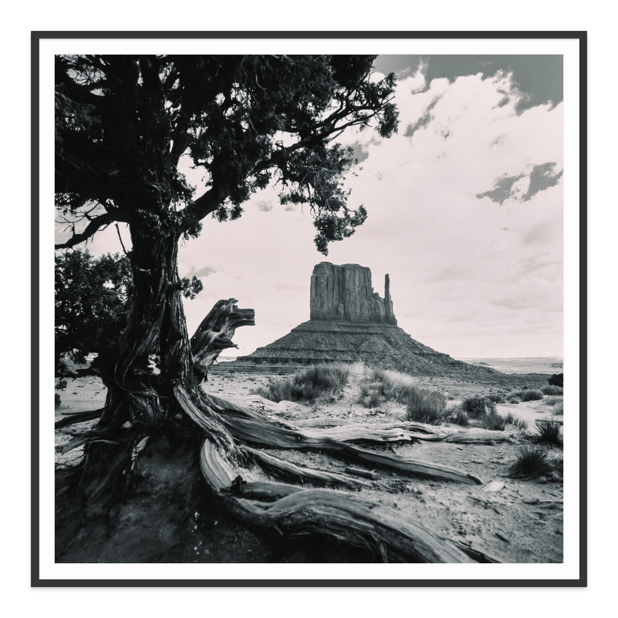 - Jules Frazier Fine Art Photographs
