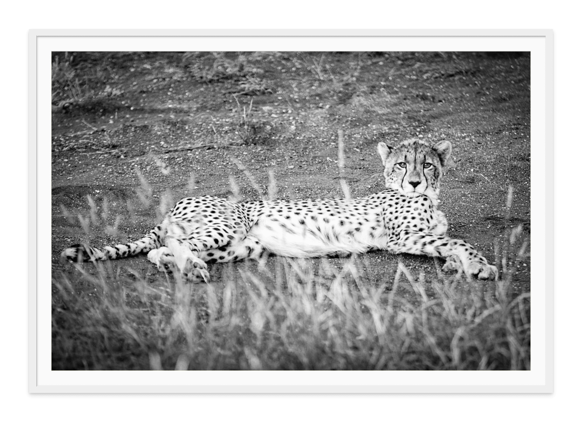 - Jules Frazier Fine Art Photographs