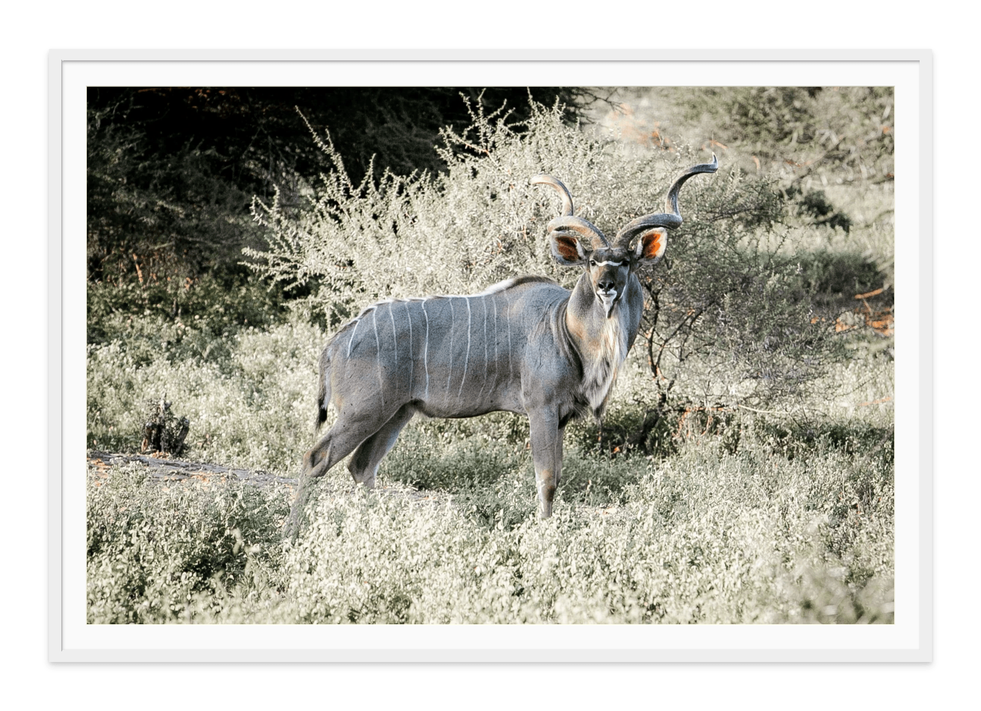 - Jules Frazier Fine Art Photographs