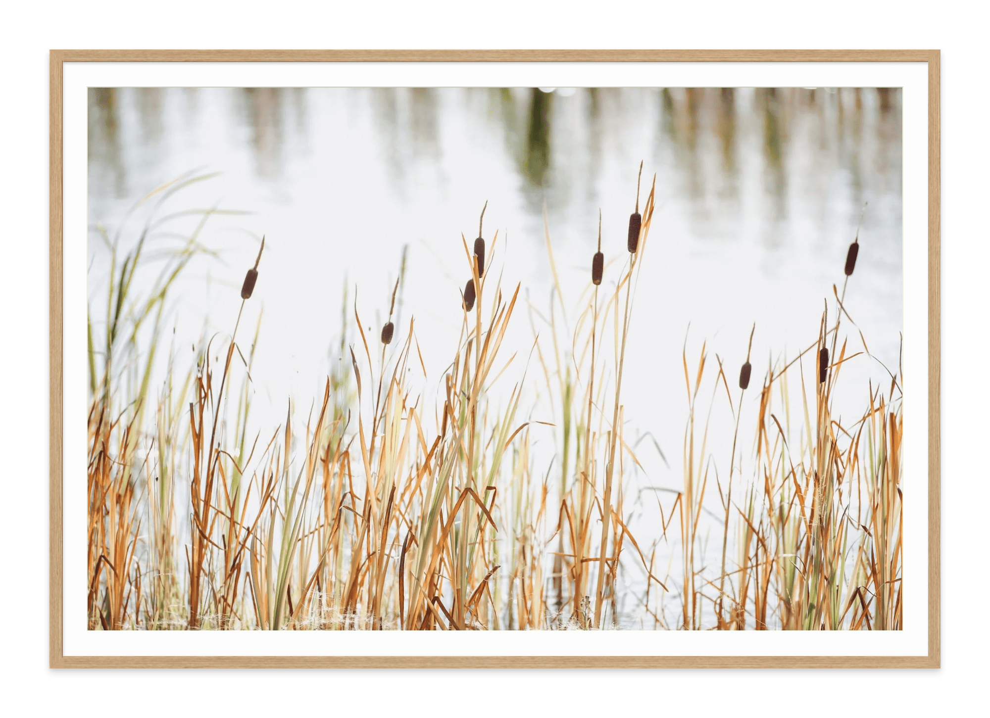 - Jules Frazier Fine Art Photographs