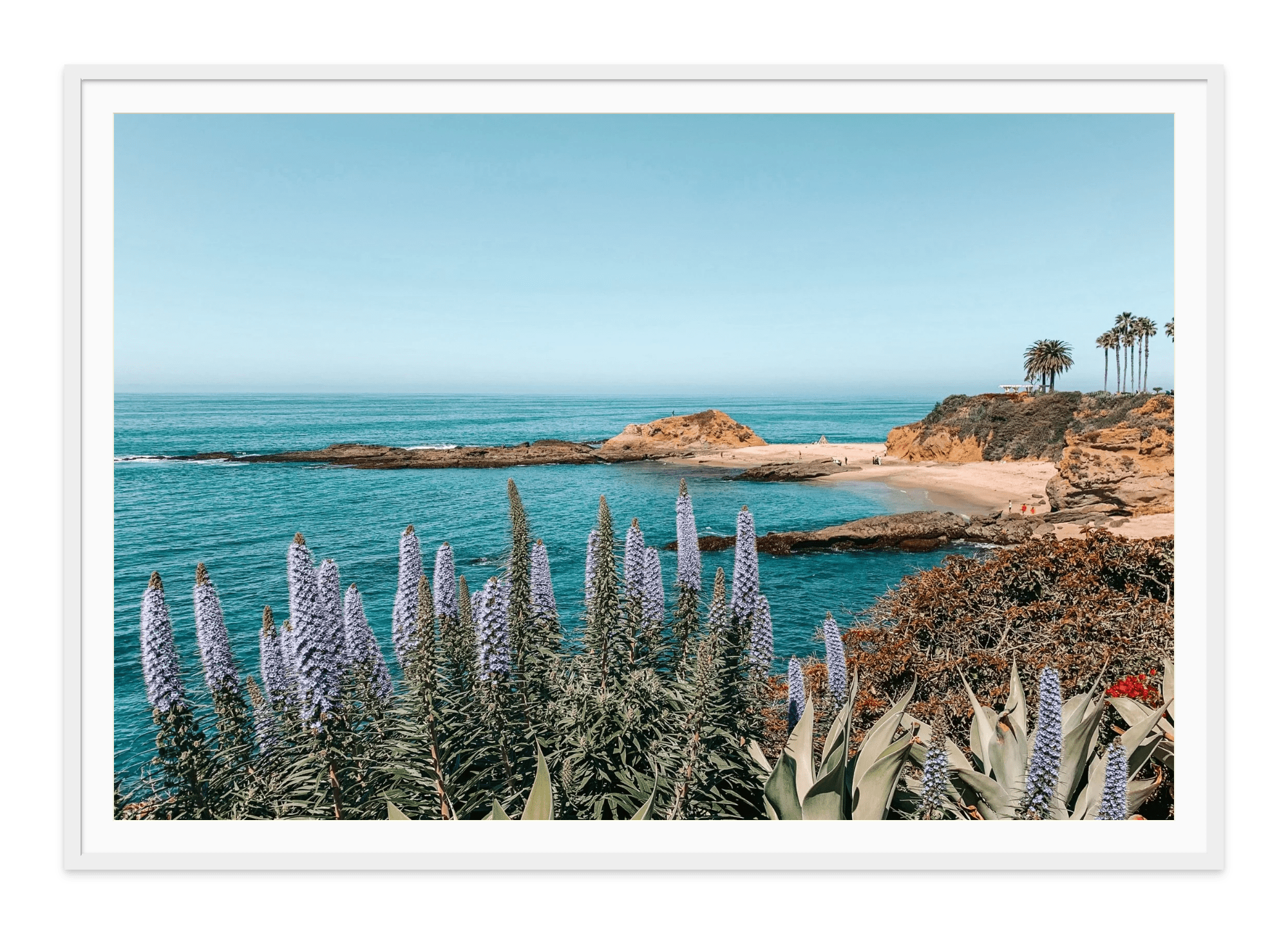 - Jules Frazier Fine Art Photographs
