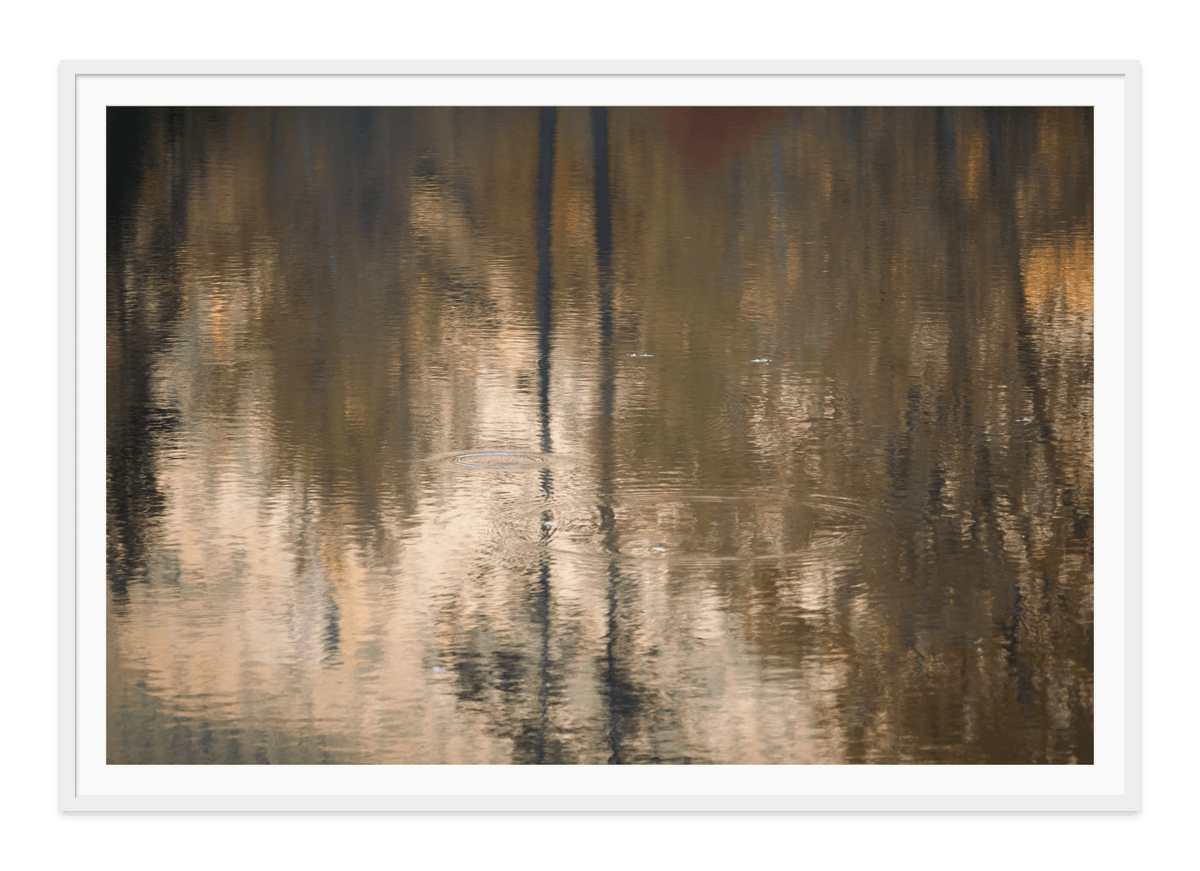 - Jules Frazier Fine Art Photographs