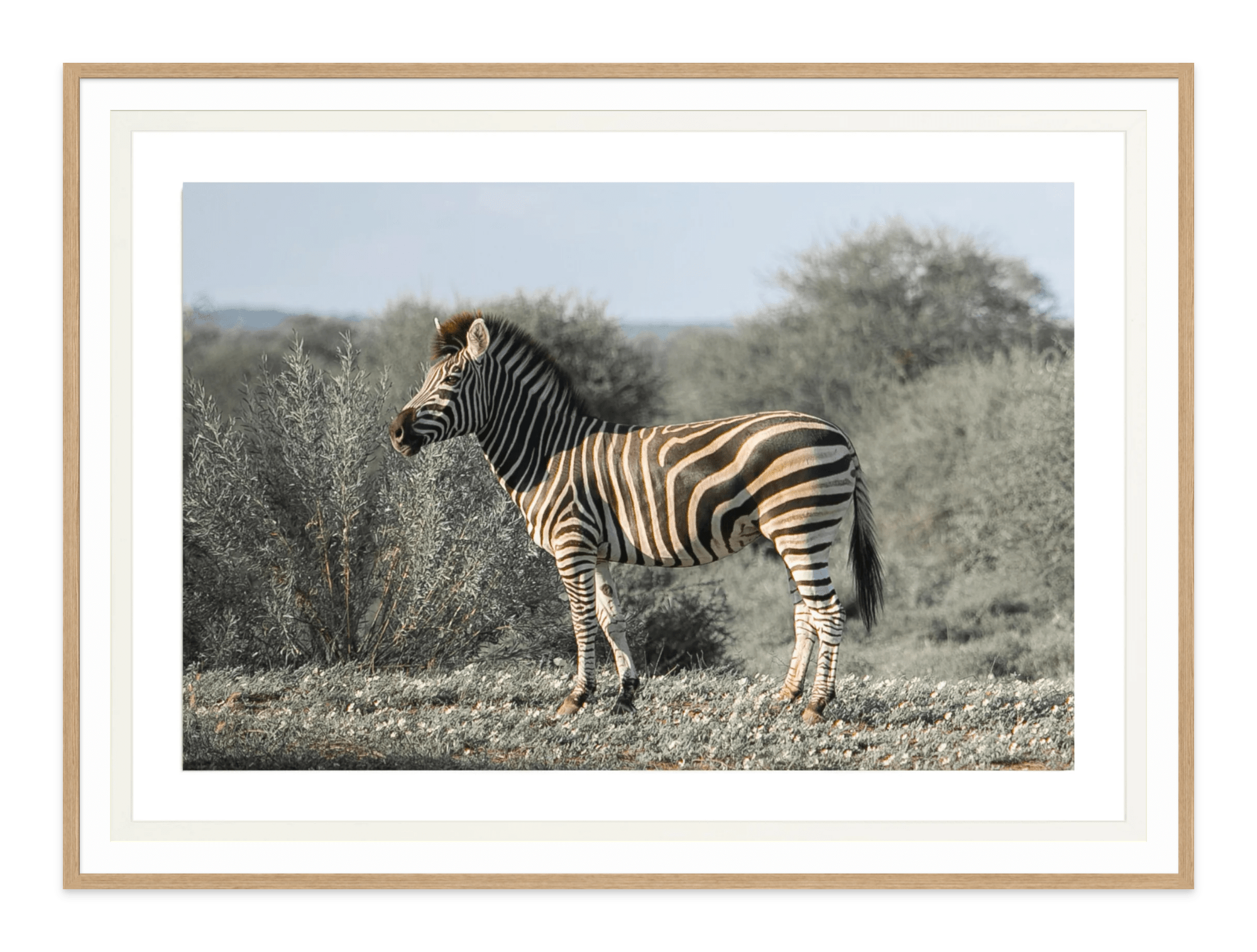 - Jules Frazier Fine Art Photographs