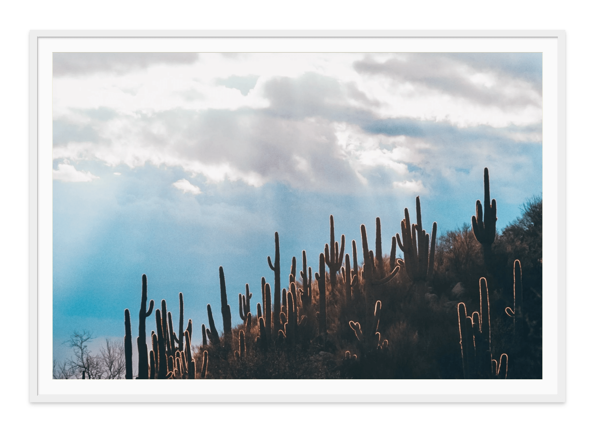 - Jules Frazier Fine Art Photographs