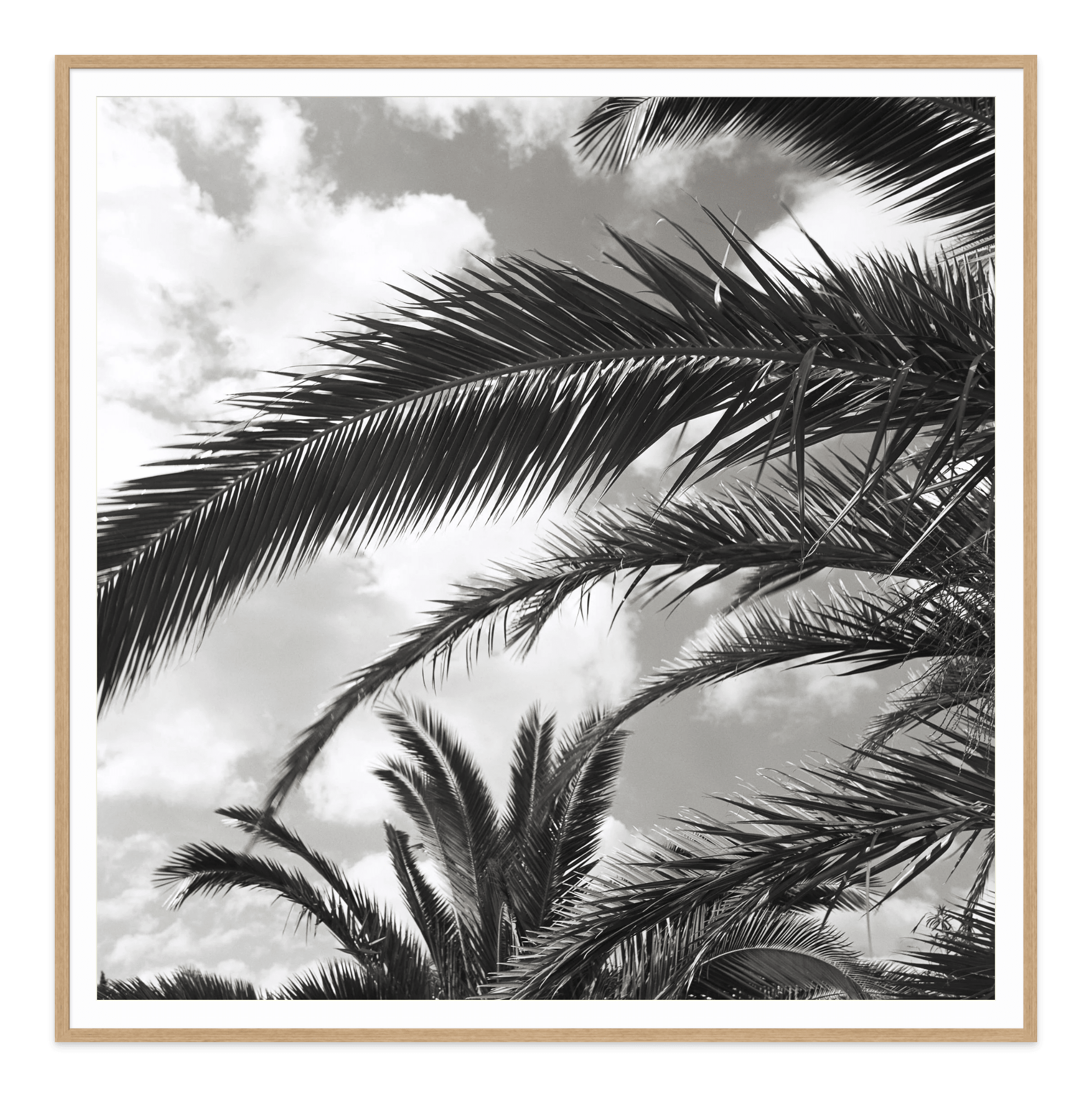- Jules Frazier Fine Art Photographs
