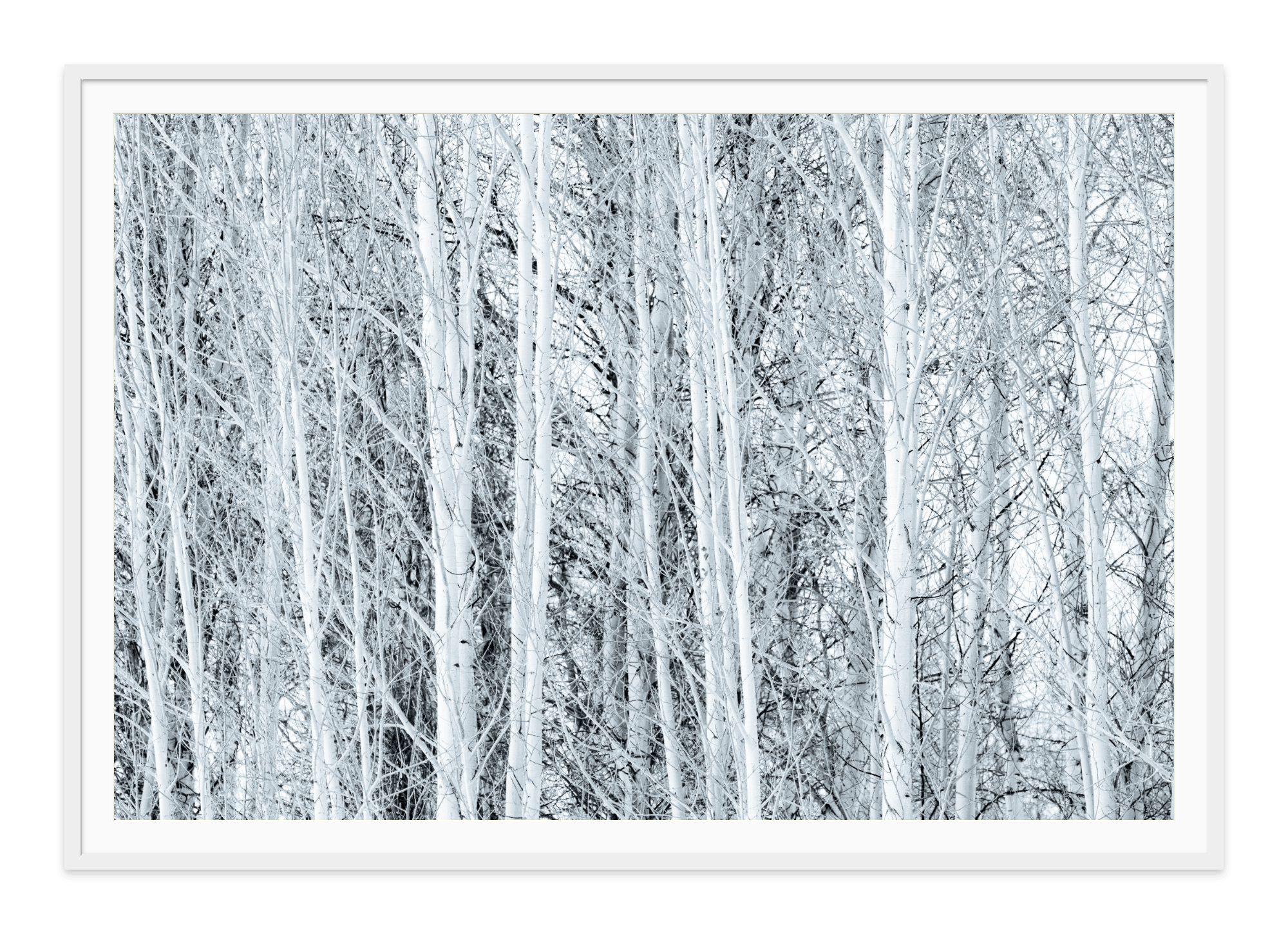 - Jules Frazier Fine Art Photographs