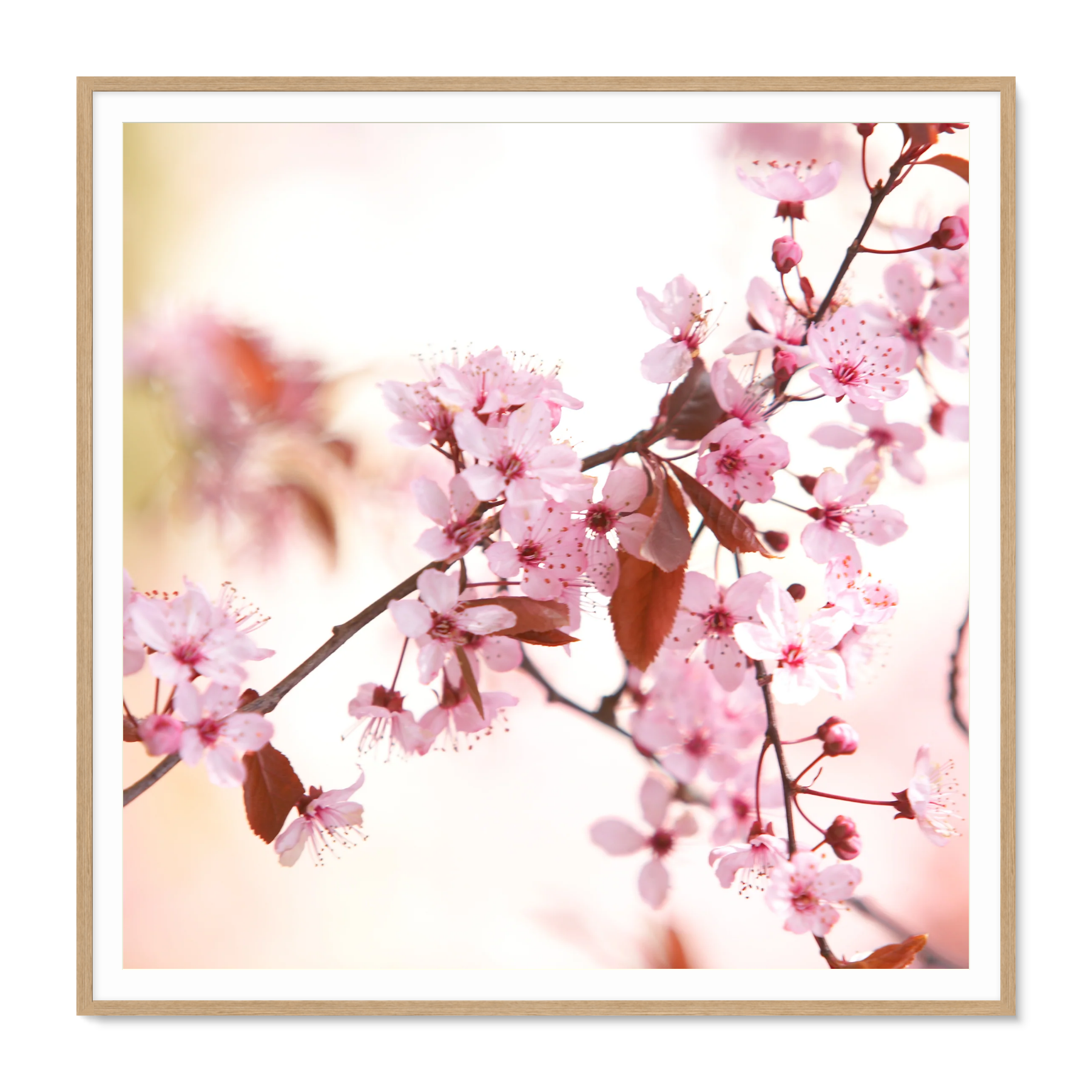 Image rendered by ArtFlows