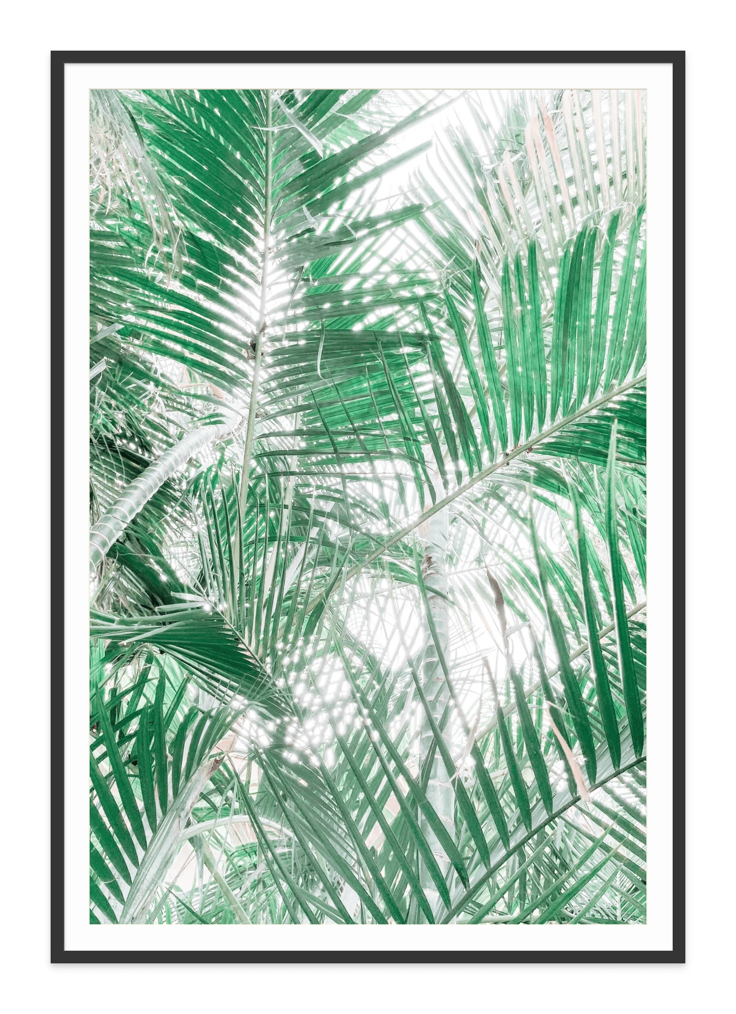 - Jules Frazier Fine Art Photographs
