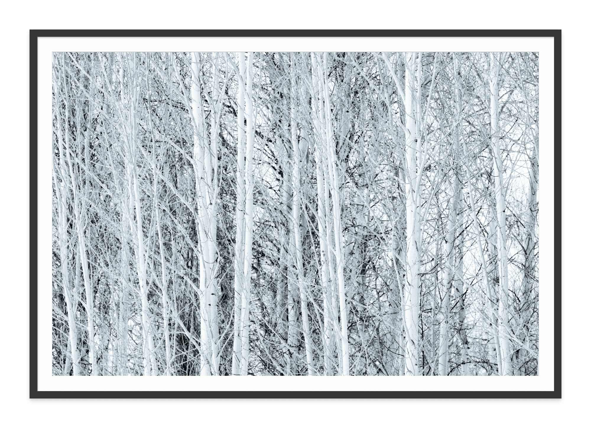 - Jules Frazier Fine Art Photographs
