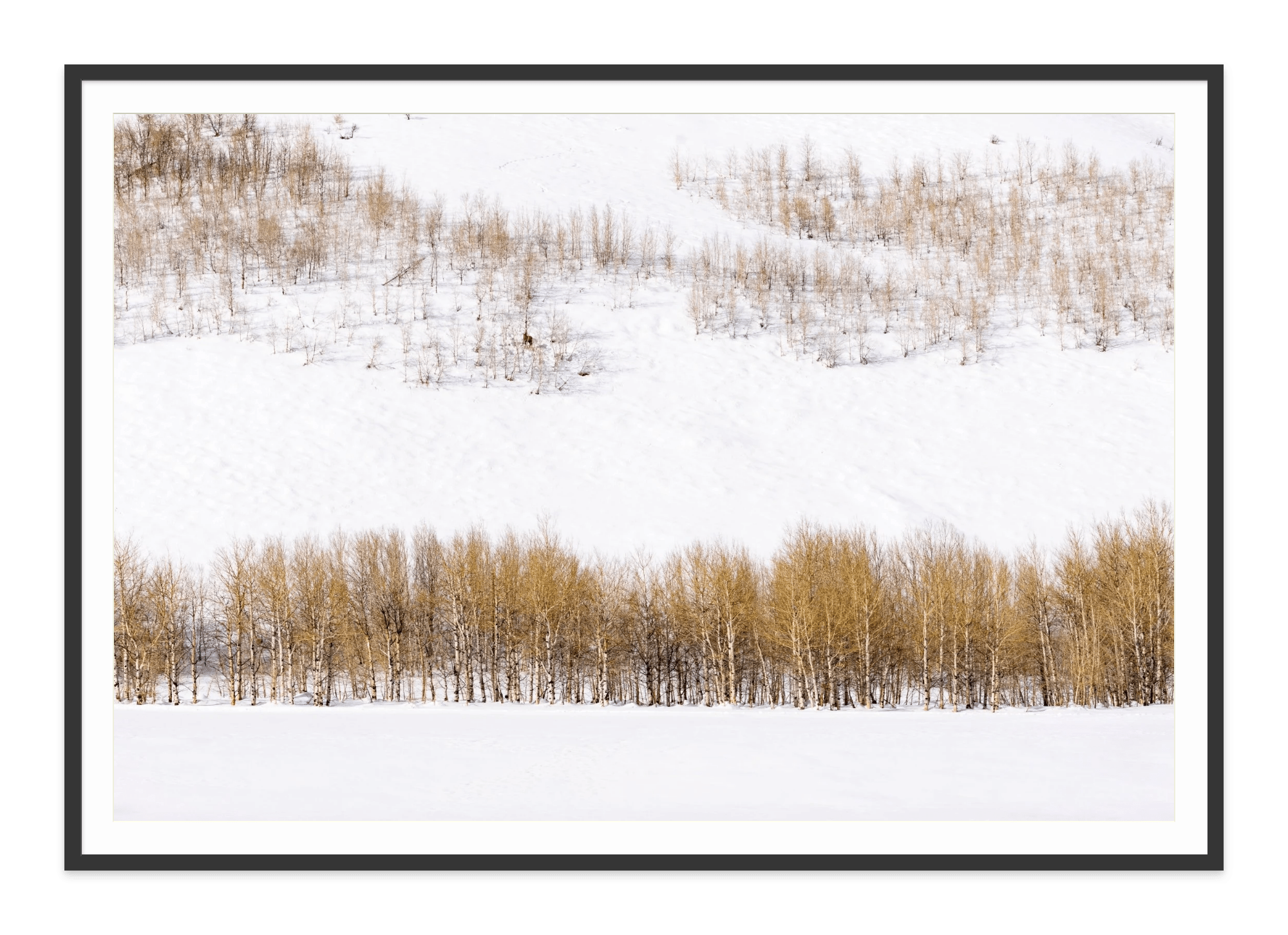 - Jules Frazier Fine Art Photographs