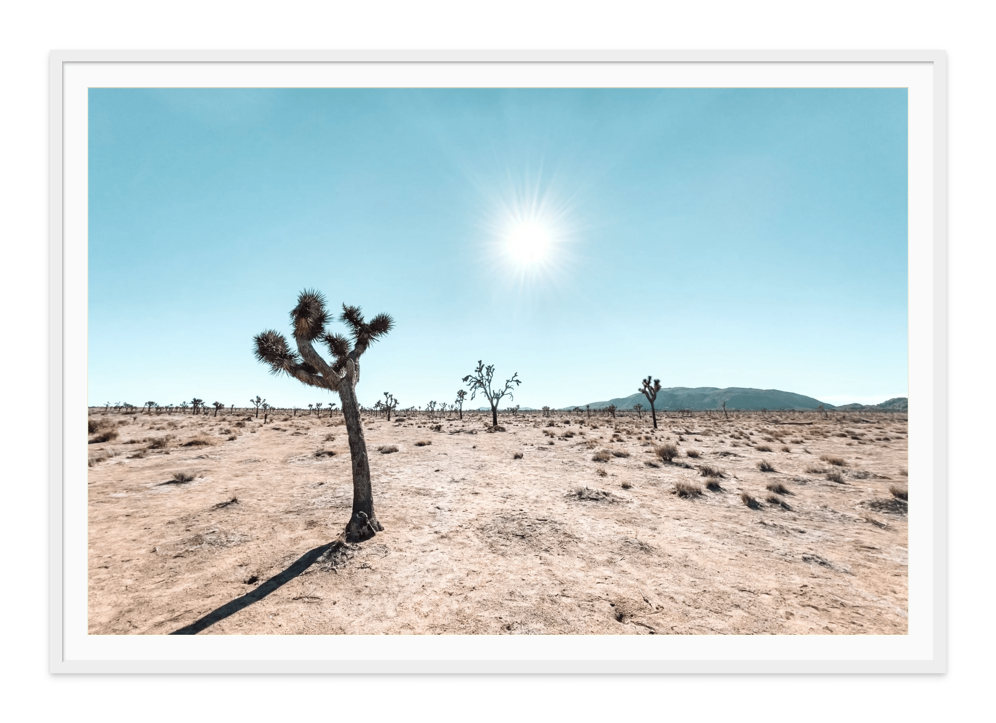 - Jules Frazier Fine Art Photographs