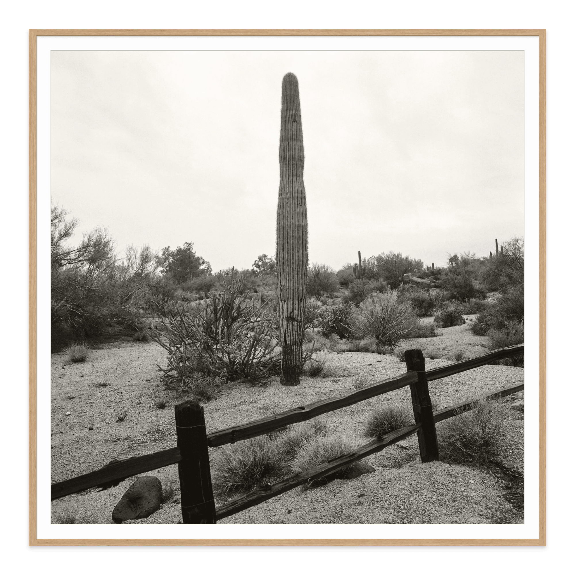 - Jules Frazier Fine Art Photographs