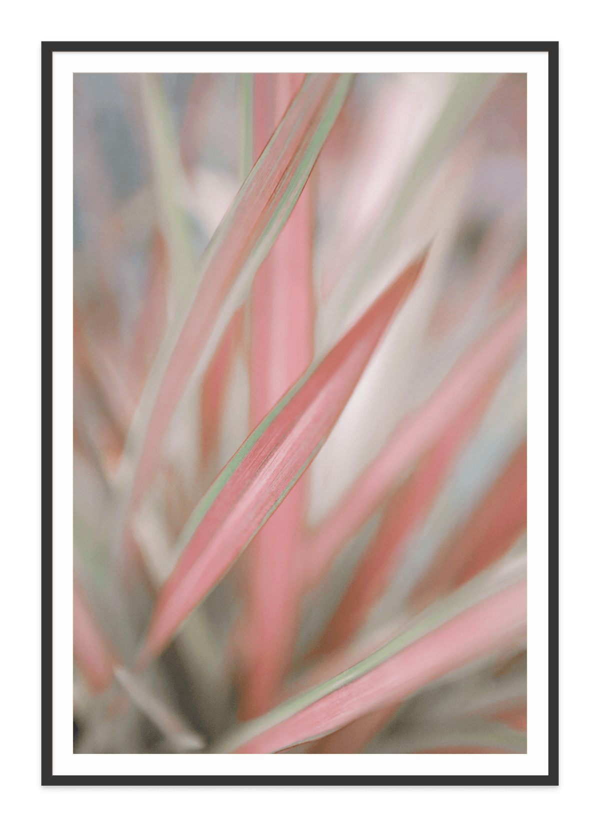 - Jules Frazier Fine Art Photographs