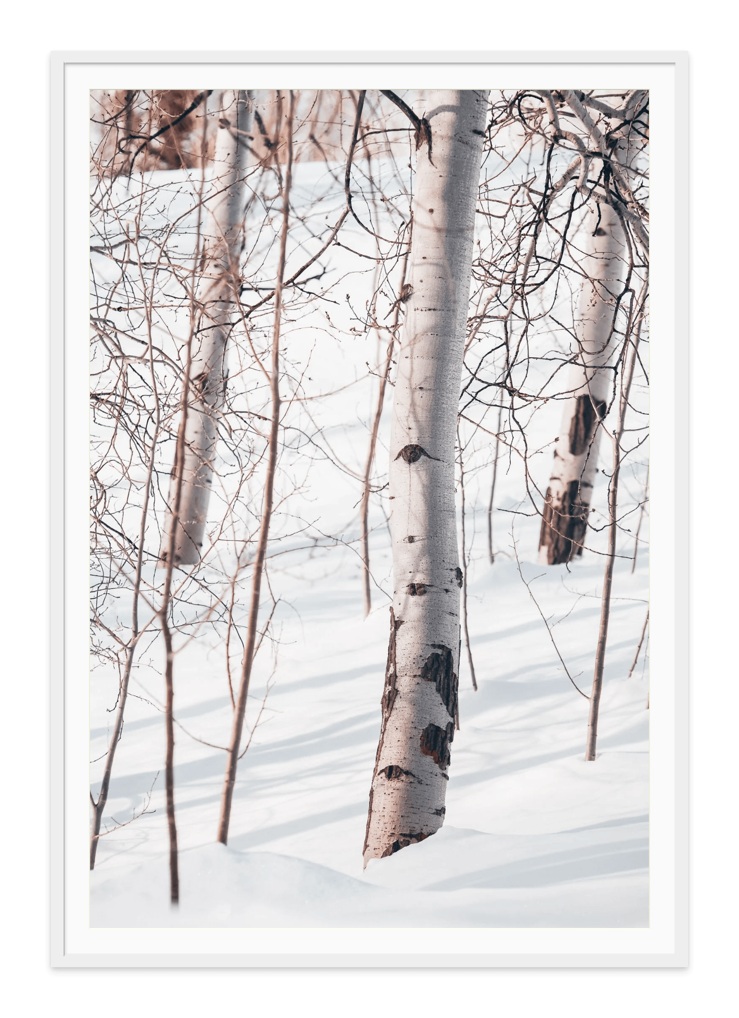 - Jules Frazier Fine Art Photographs