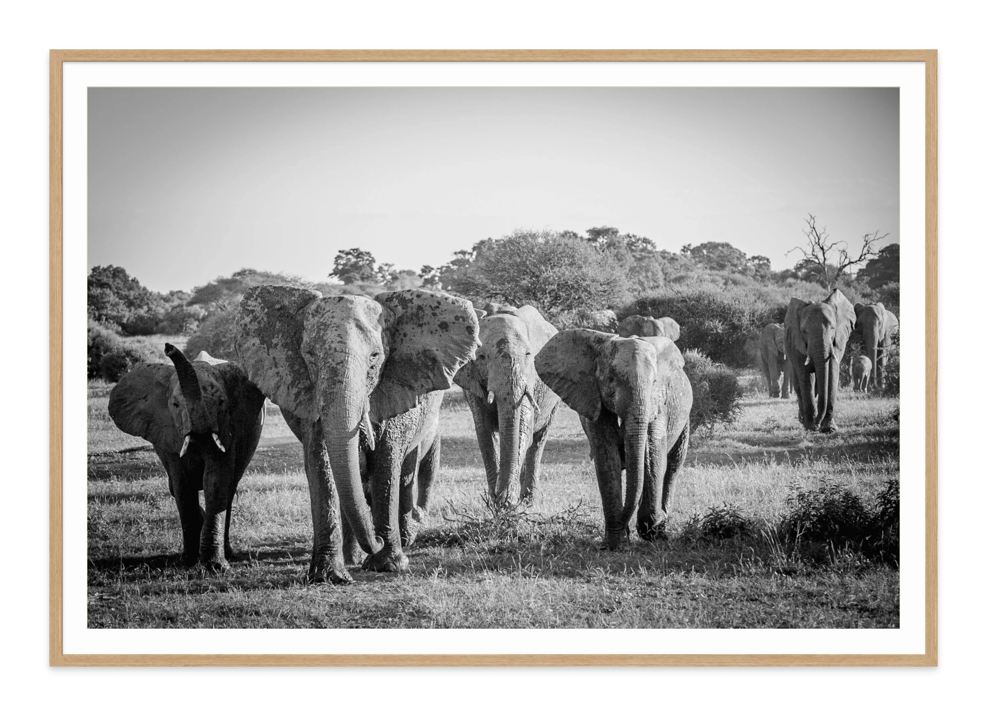 - Jules Frazier Fine Art Photographs