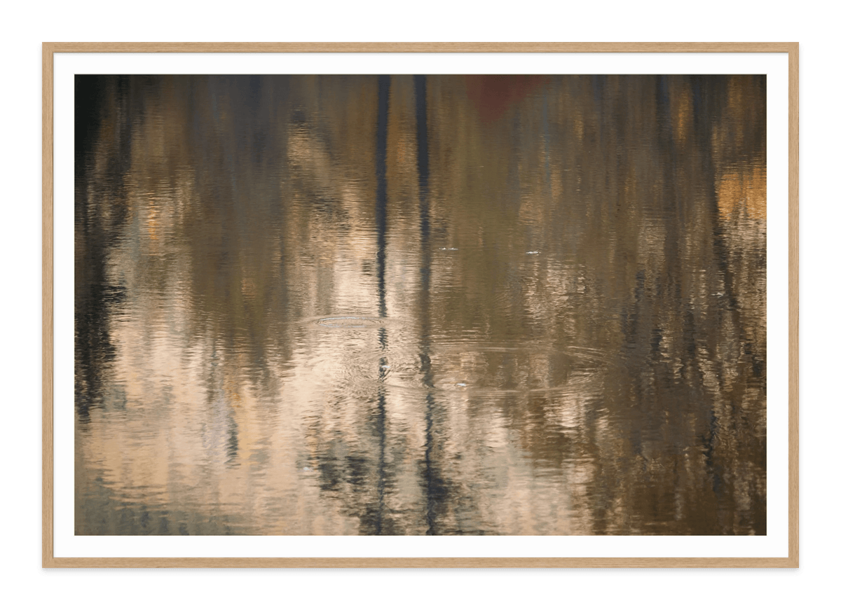 - Jules Frazier Fine Art Photographs