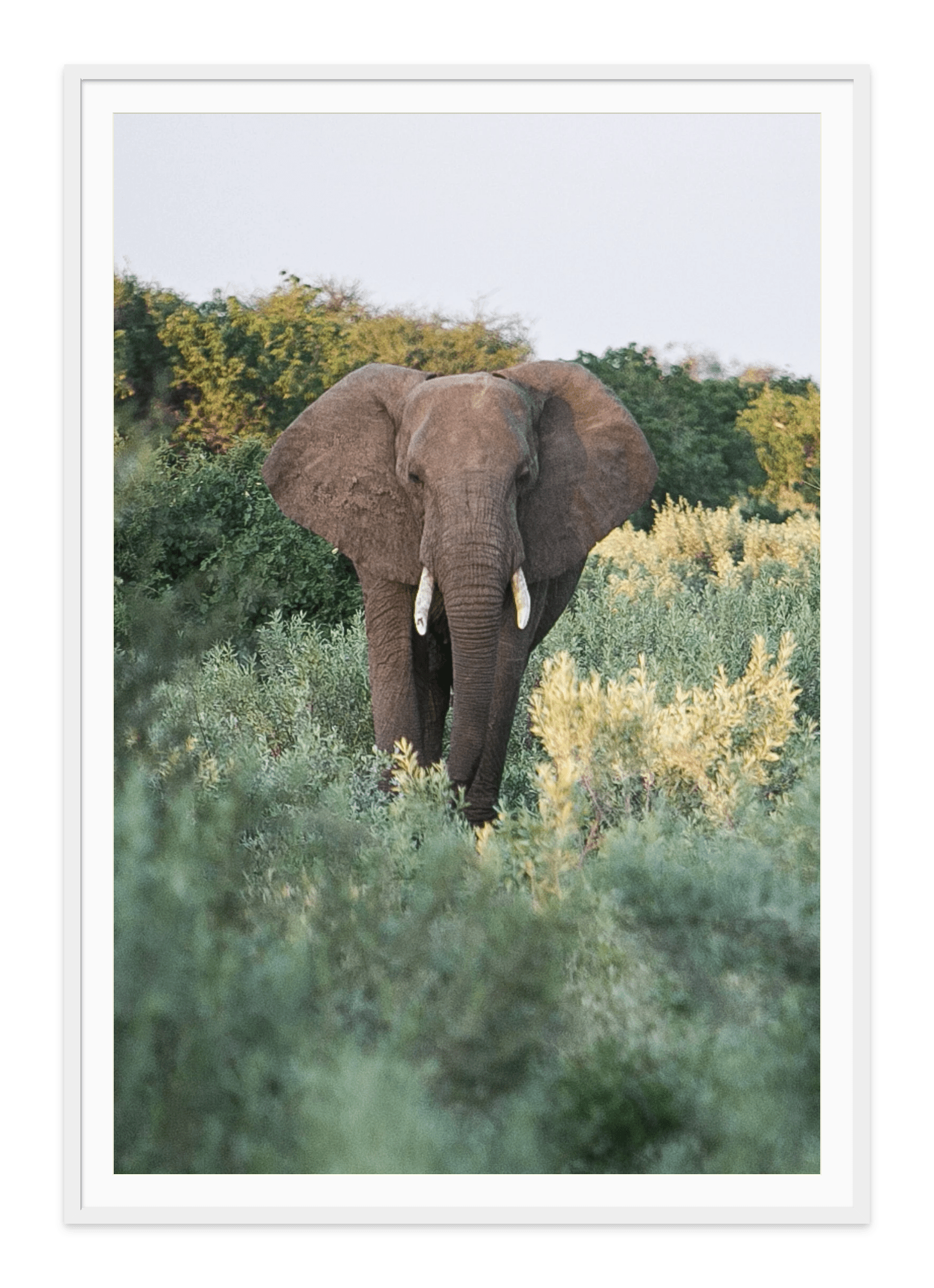 - Jules Frazier Fine Art Photographs