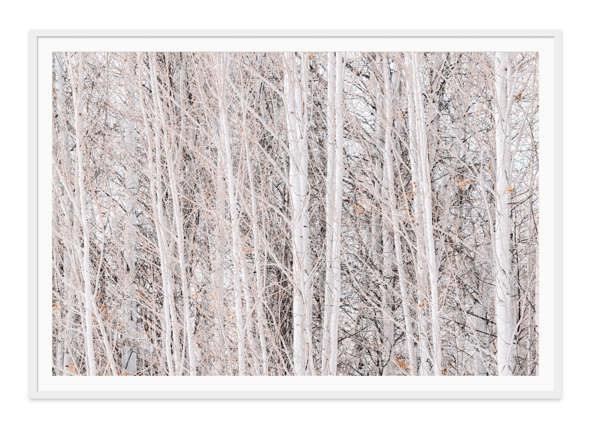 - Jules Frazier Fine Art Photographs