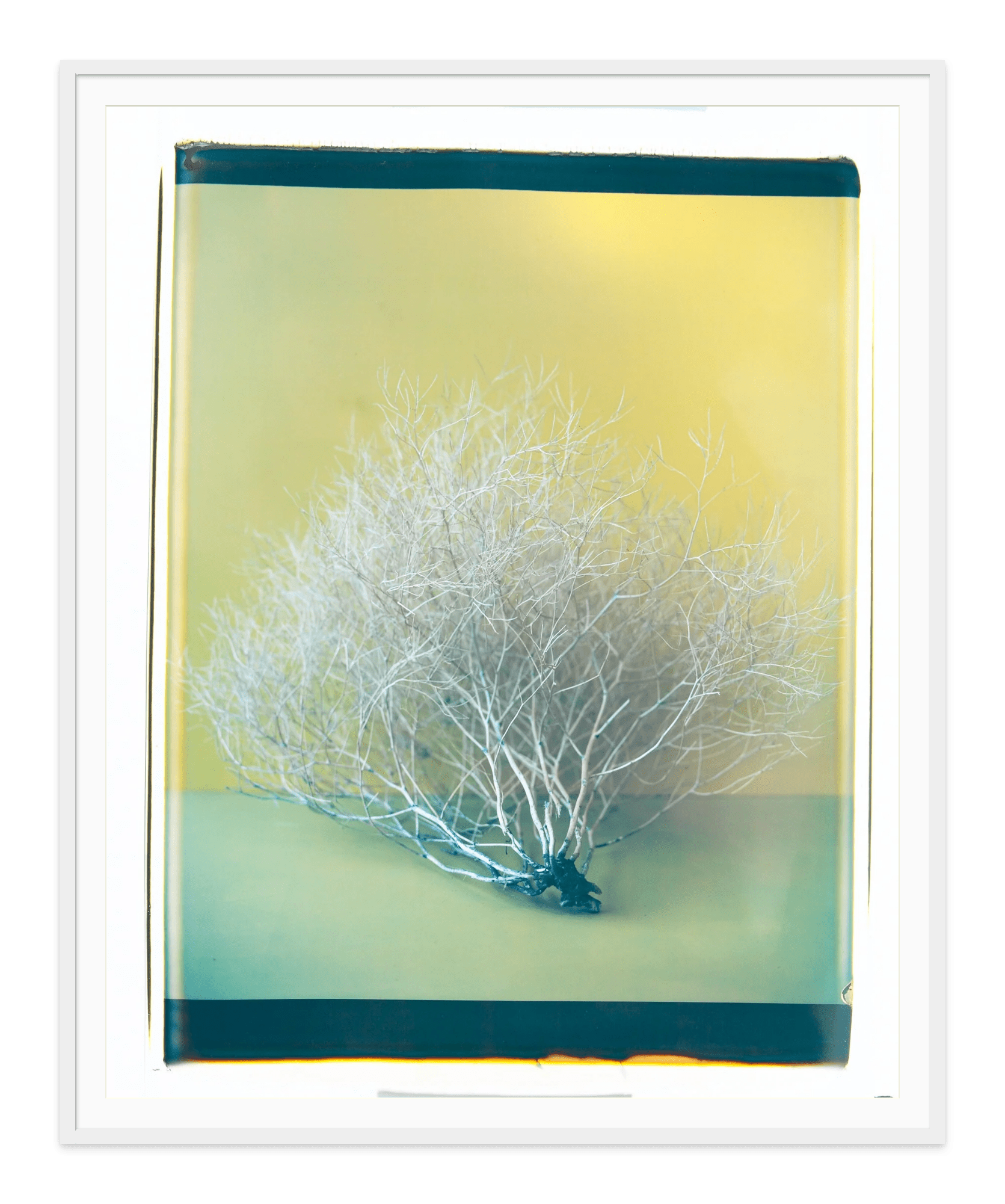 - Jules Frazier Fine Art Photographs