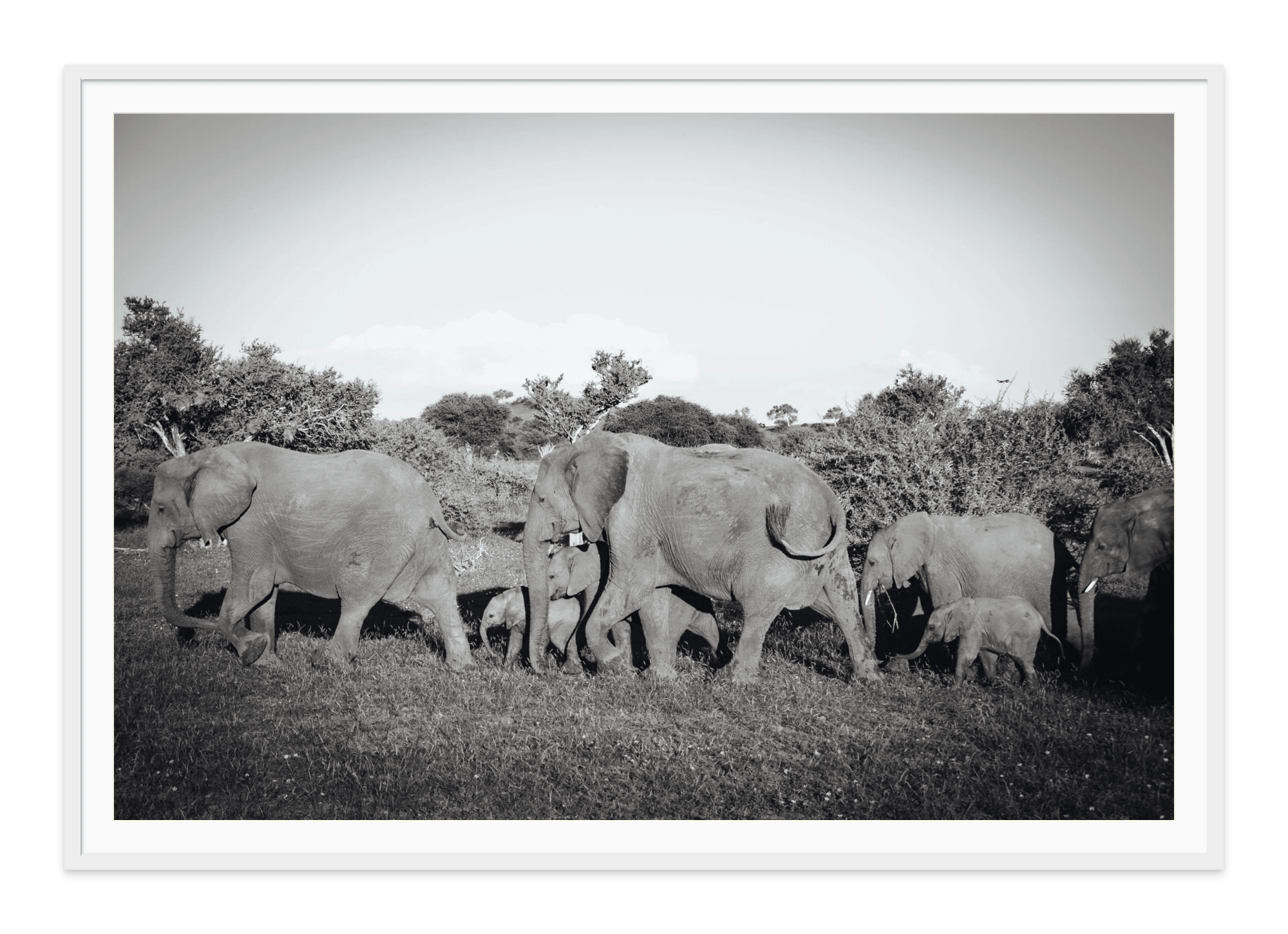 - Jules Frazier Fine Art Photographs