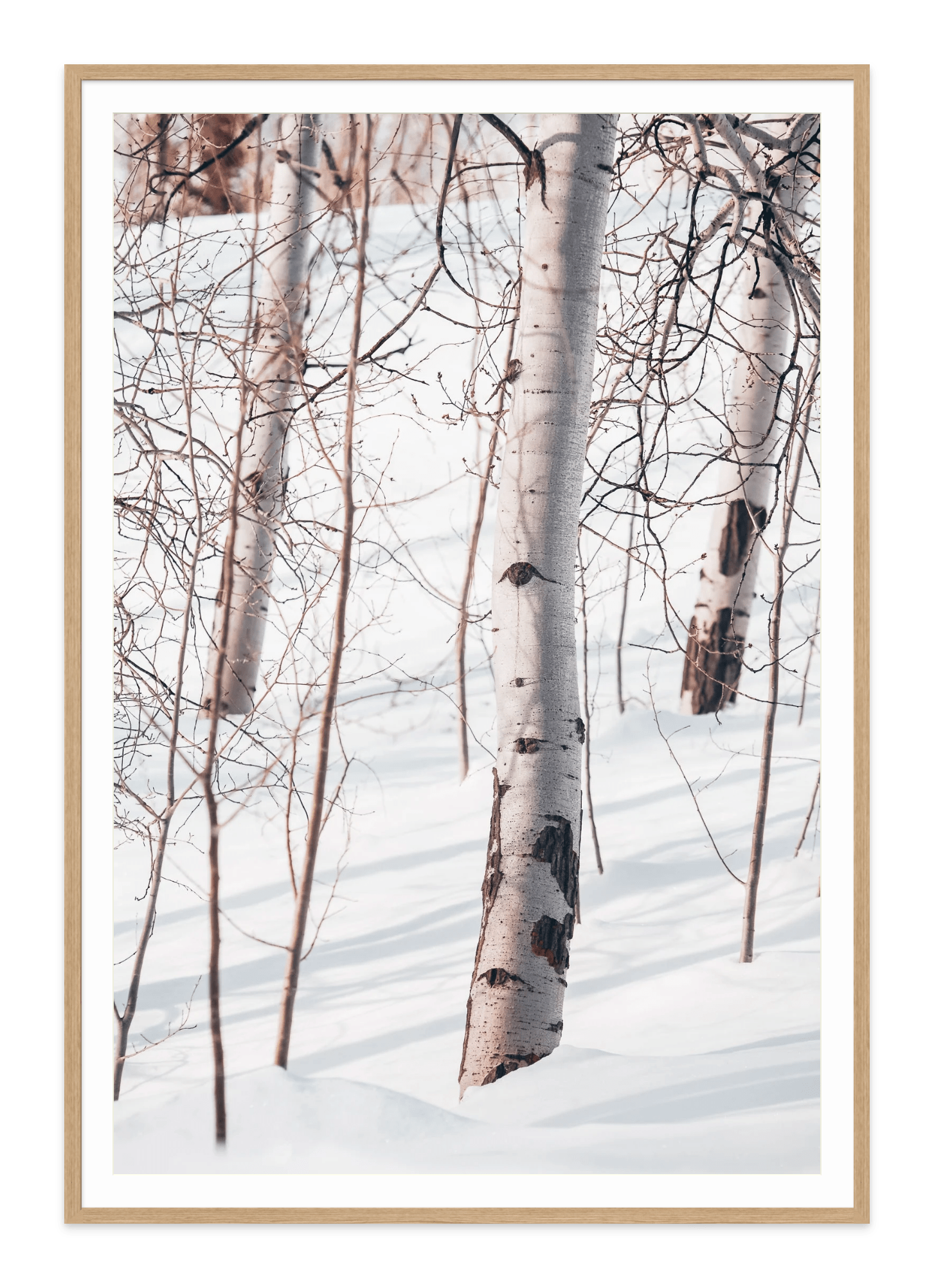 - Jules Frazier Fine Art Photographs