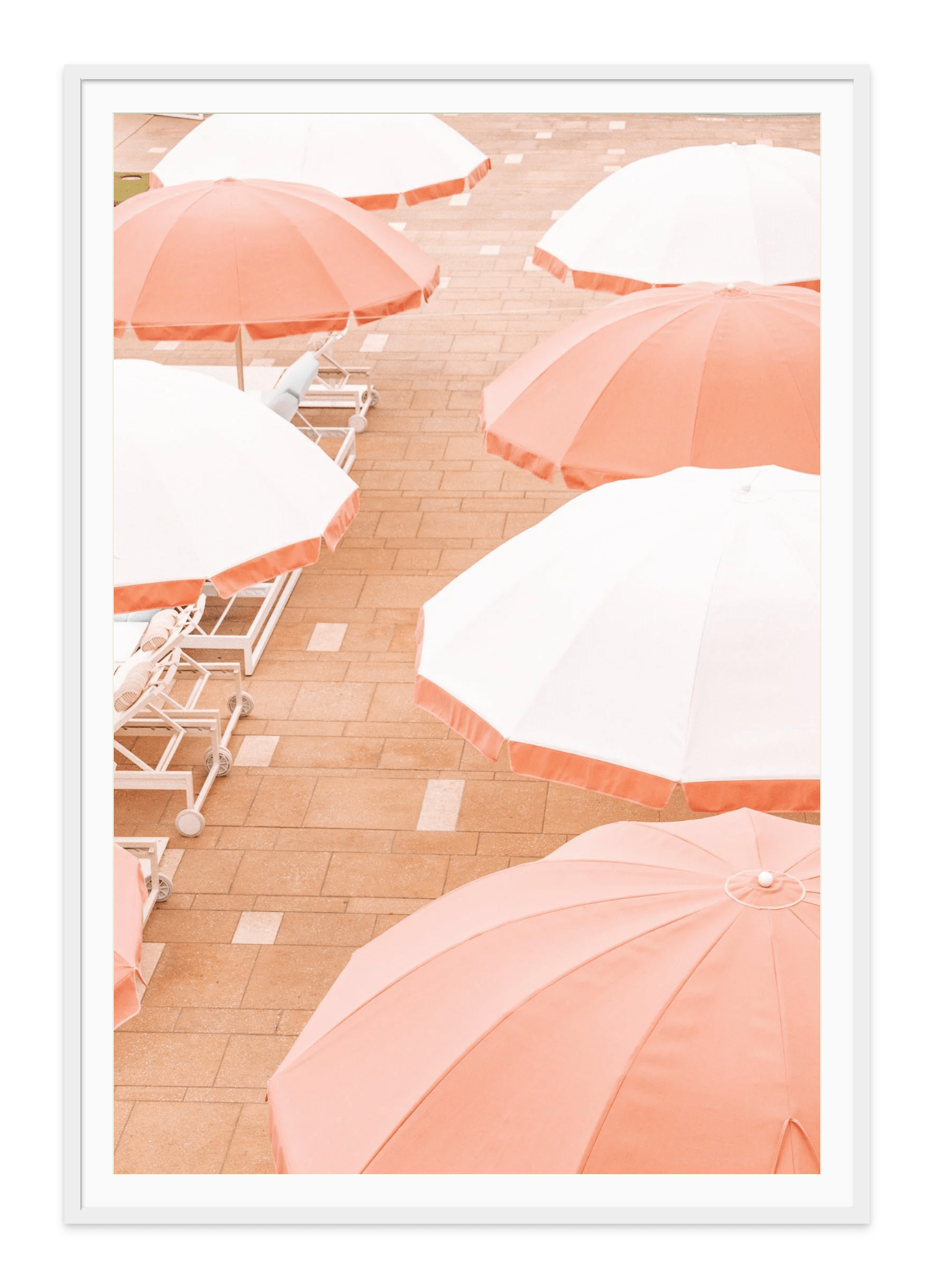 Coral Sun Umbrella's, California