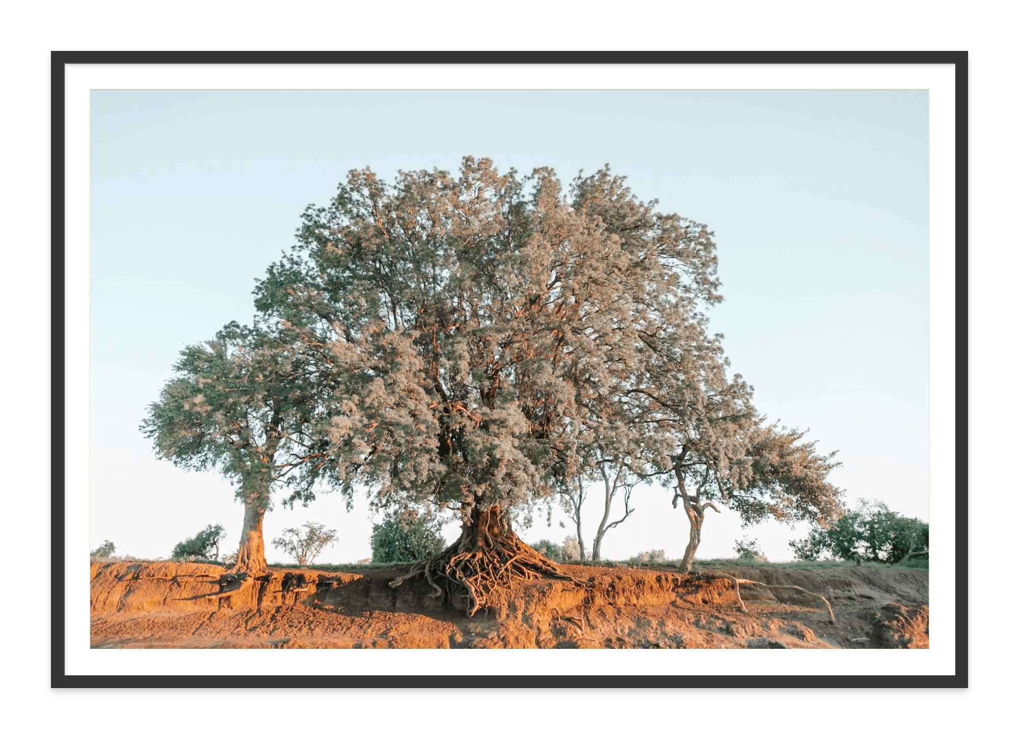 - Jules Frazier Fine Art Photographs