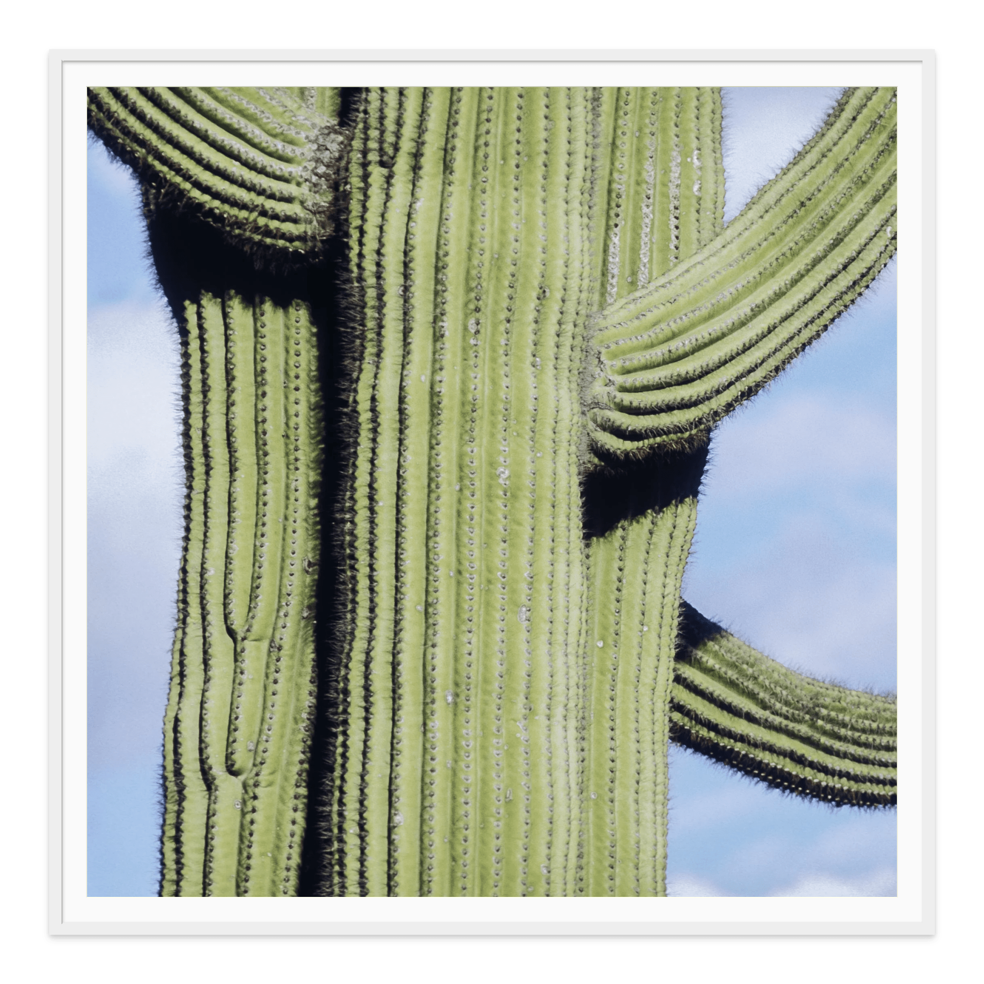 - Jules Frazier Fine Art Photographs