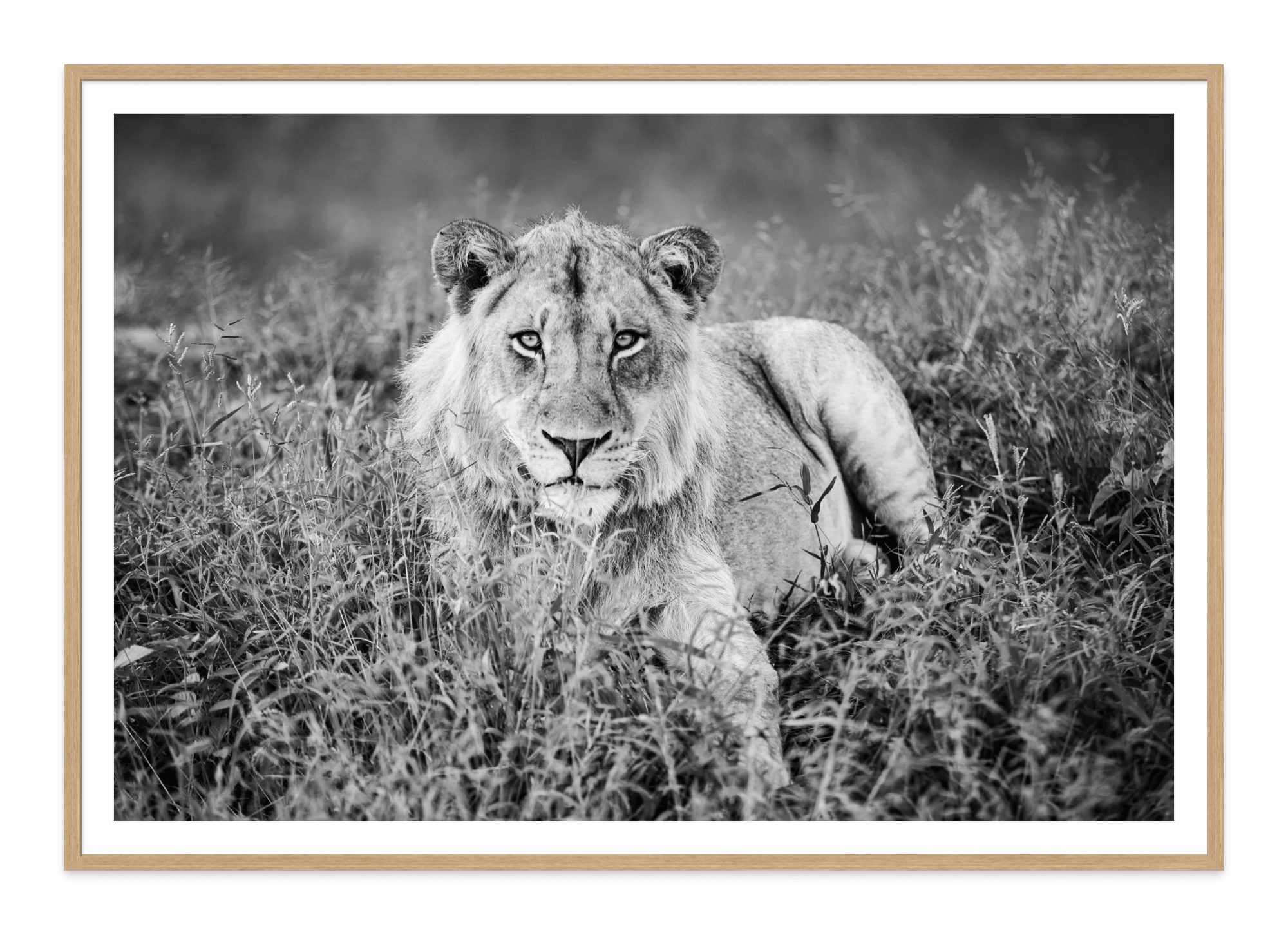 - Jules Frazier Fine Art Photographs