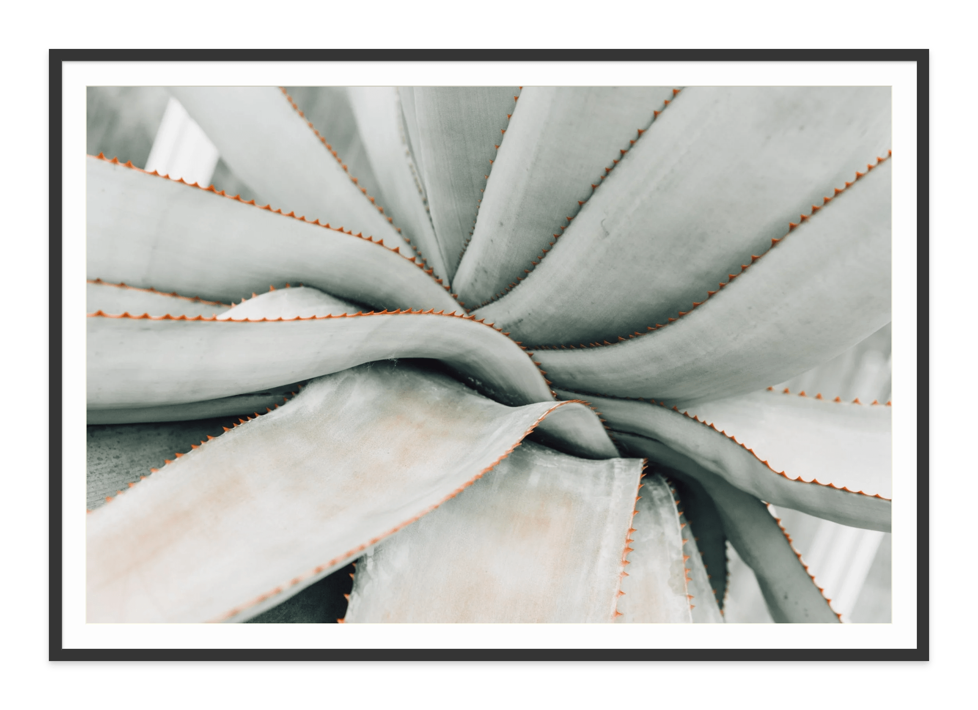 - Jules Frazier Fine Art Photographs