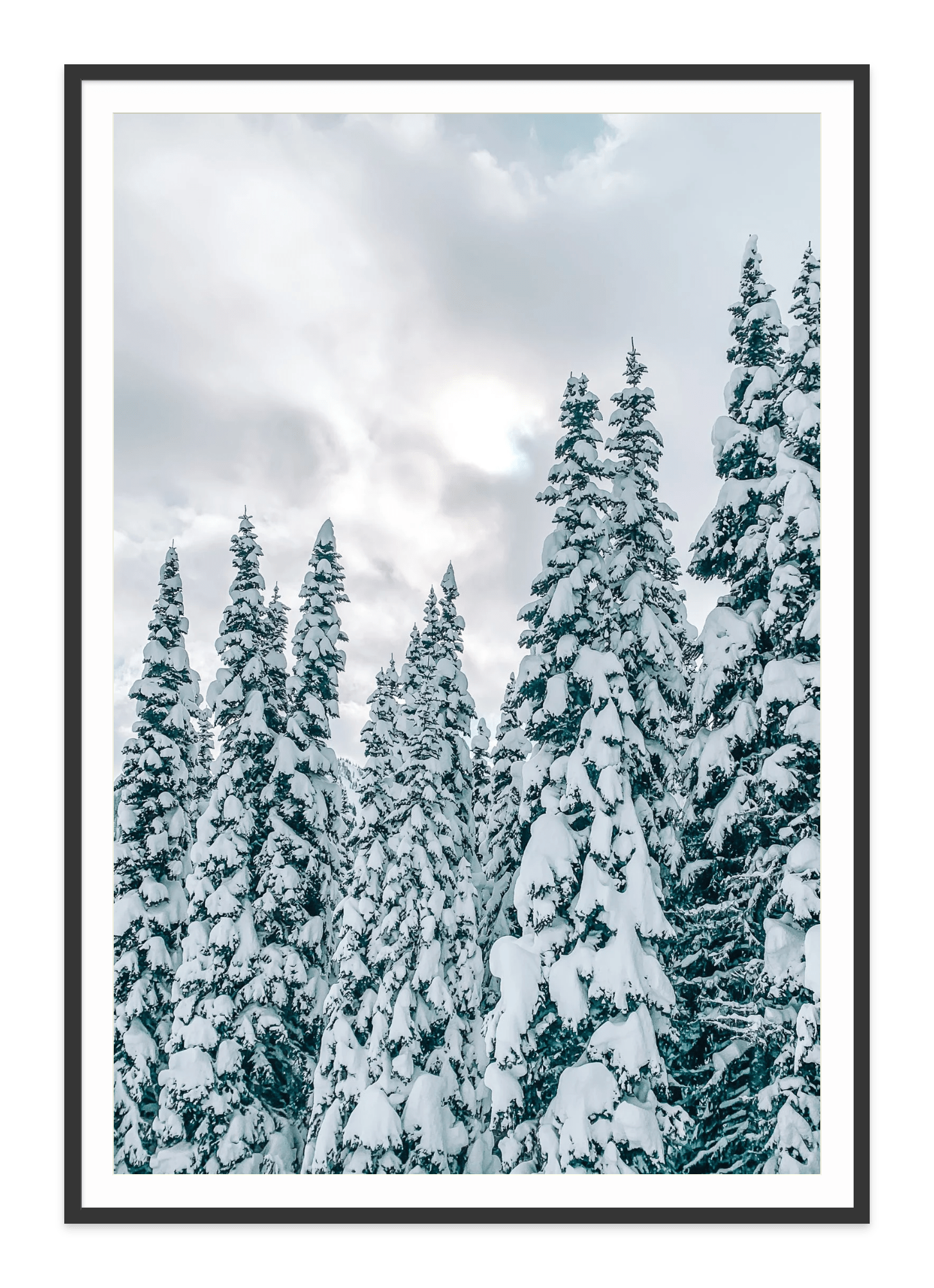 - Jules Frazier Fine Art Photographs