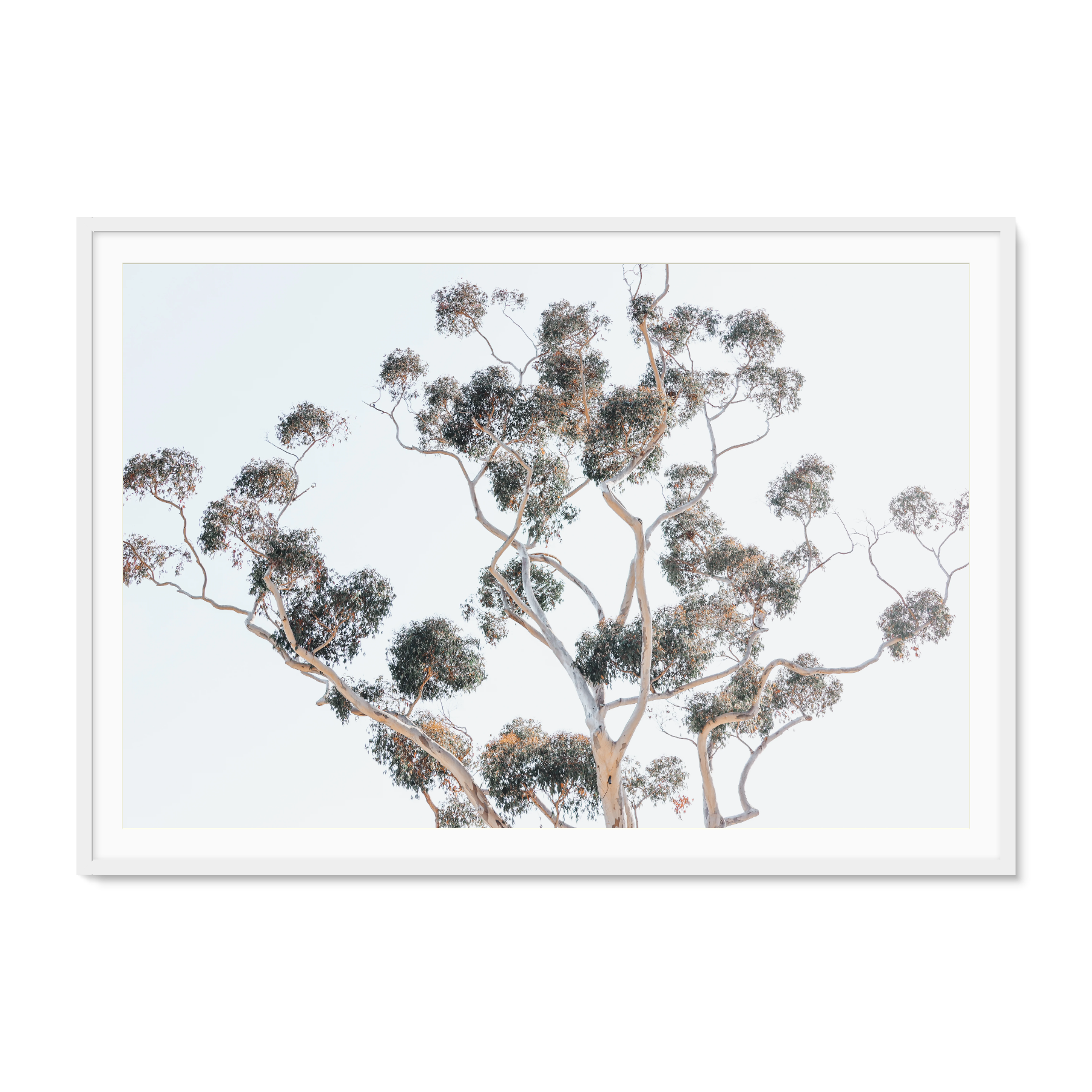 Image rendered by ArtFlows